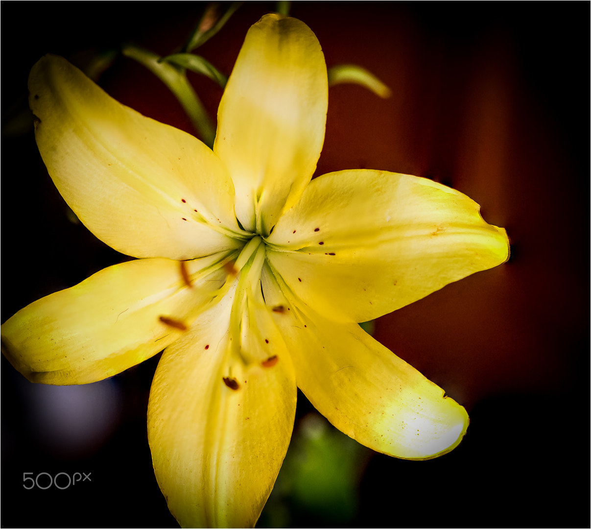 Canon EOS 5DS sample photo. Stack focus photography