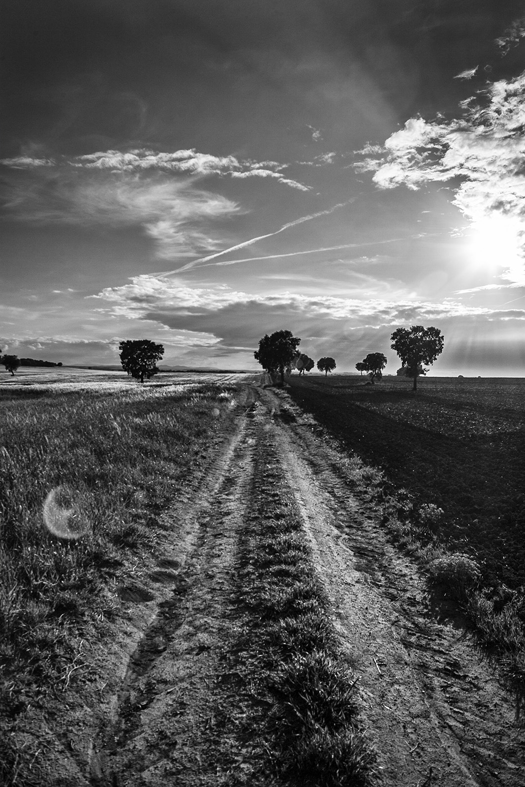 Canon EOS-1D Mark II sample photo. Abril ii photography