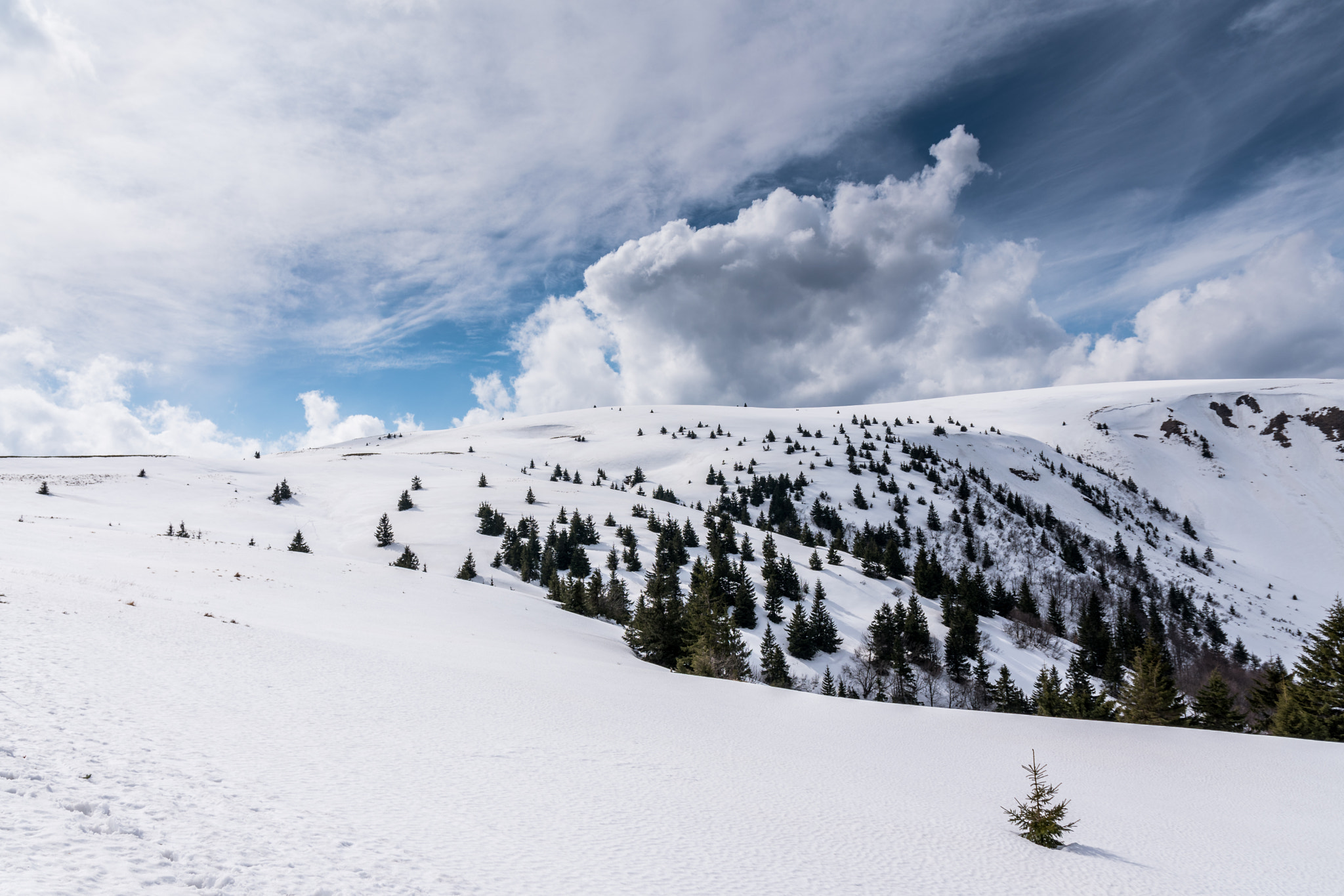 Sigma 17-70mm F2.8-4 DC Macro OS HSM | C sample photo. Winter oasis photography