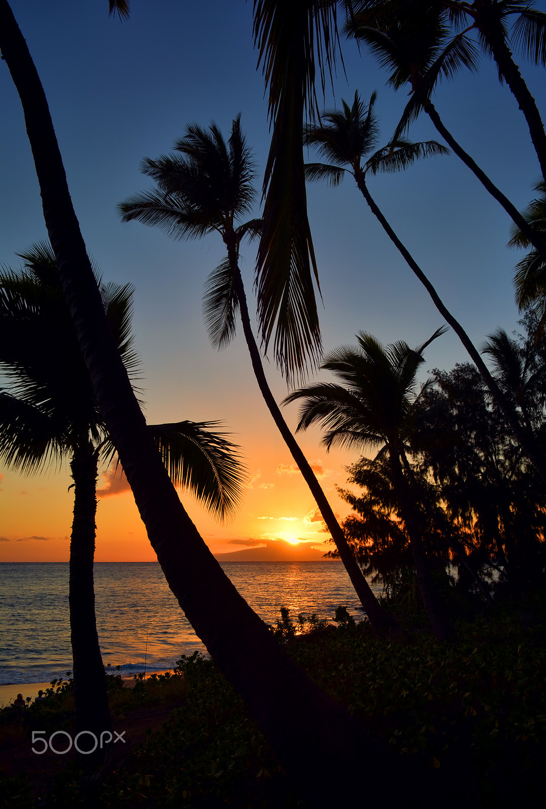 Sigma 18-50mm F2.8-4.5 DC OS HSM sample photo. Island silhouettes photography