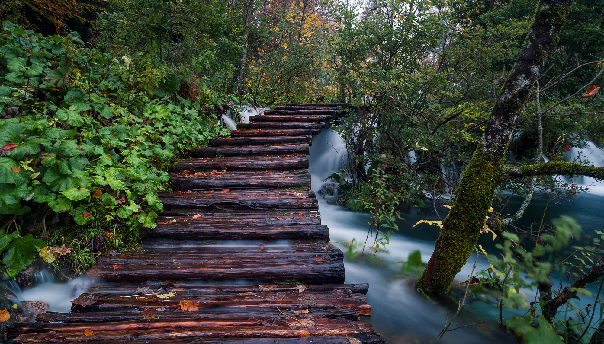 Nikon AF-S Nikkor 18-35mm F3.5-4.5G ED sample photo. Plitvice lake photography