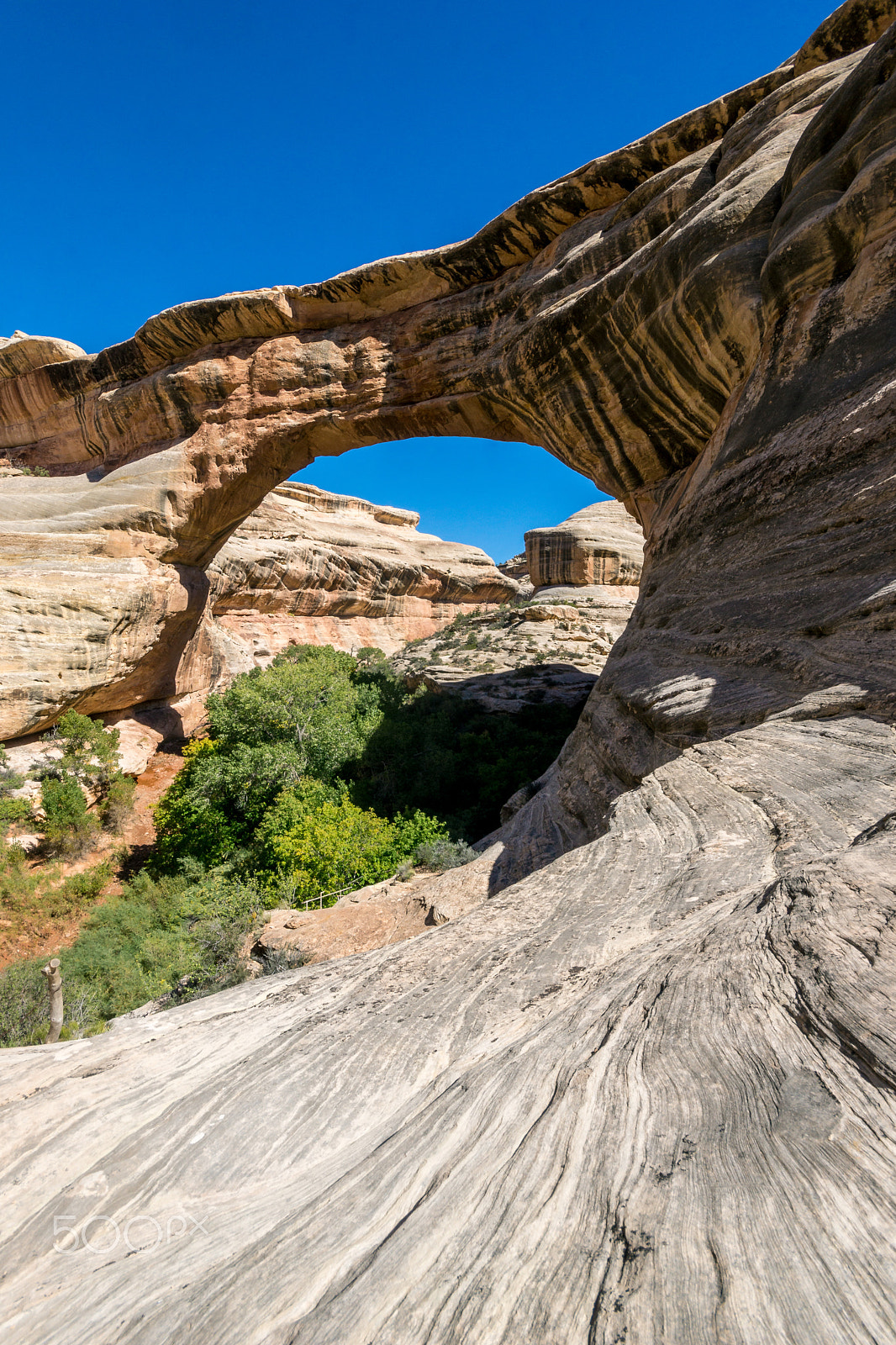 Sigma AF 10-20mm F4-5.6 EX DC sample photo. Kachina bridge photography