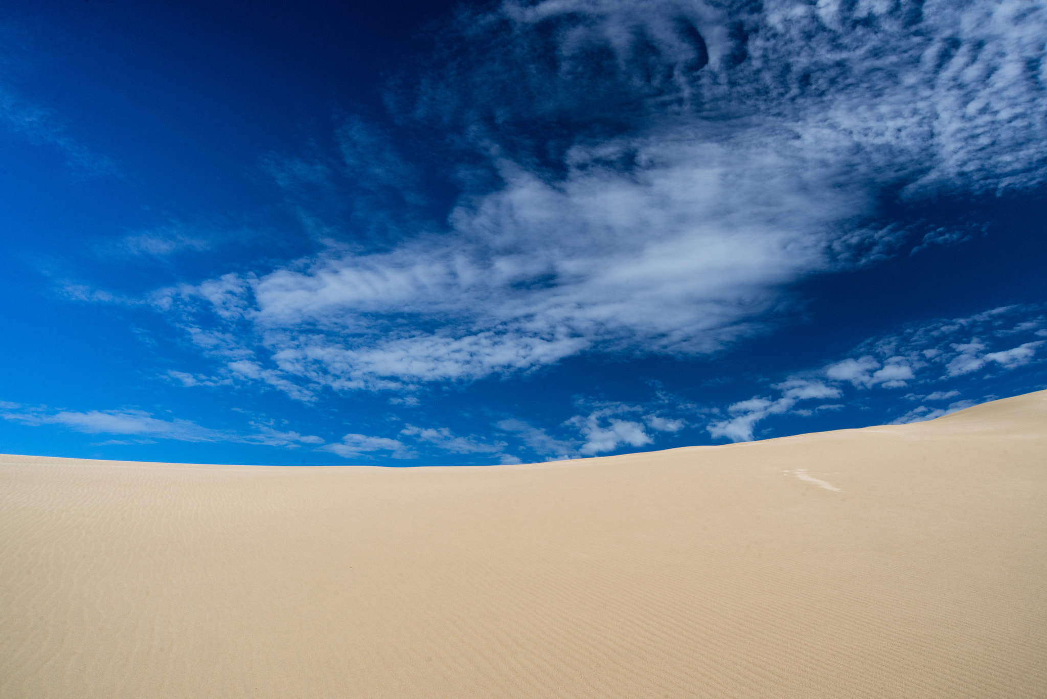 Nikon D600 sample photo. Big drift, wilsons promontory photography