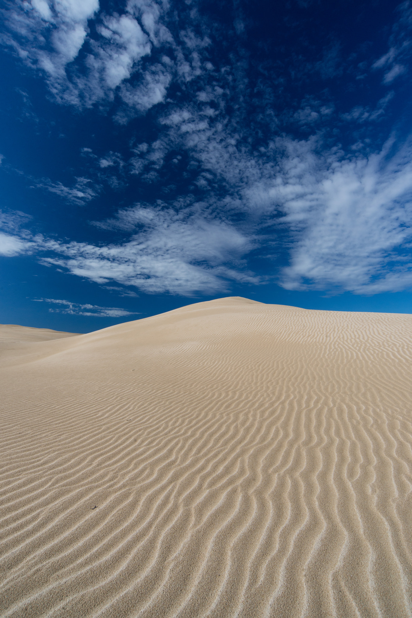 Nikon D600 sample photo. Big drift, wilsons promontory photography