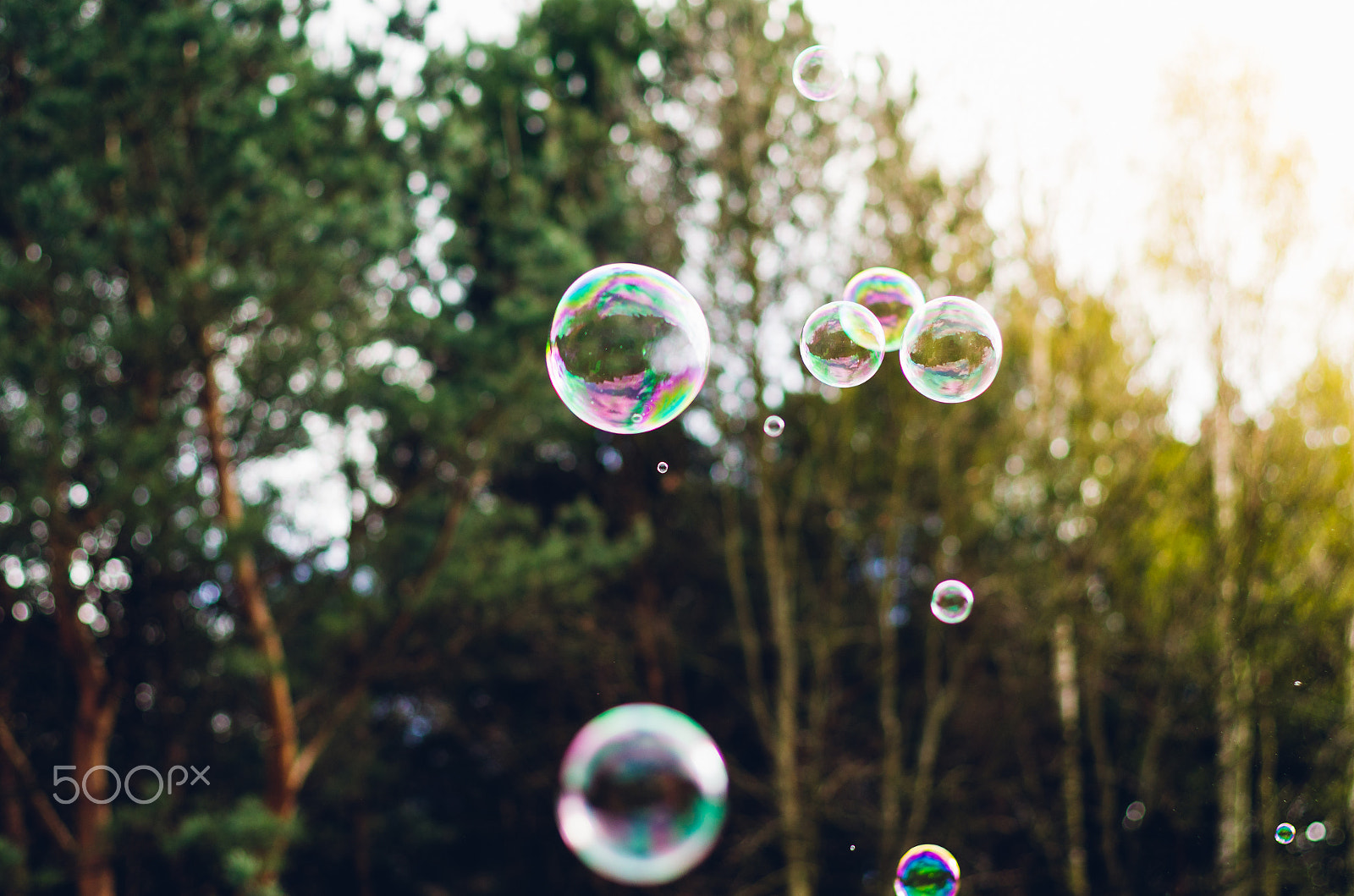 Pentax K-5 II + Pentax smc FA 50mm F1.4 sample photo. Soap bubbles on the background of the setting sun photography