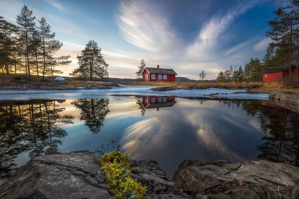 Sony a7R + Canon EF 16-35mm F4L IS USM sample photo. Wings iii photography