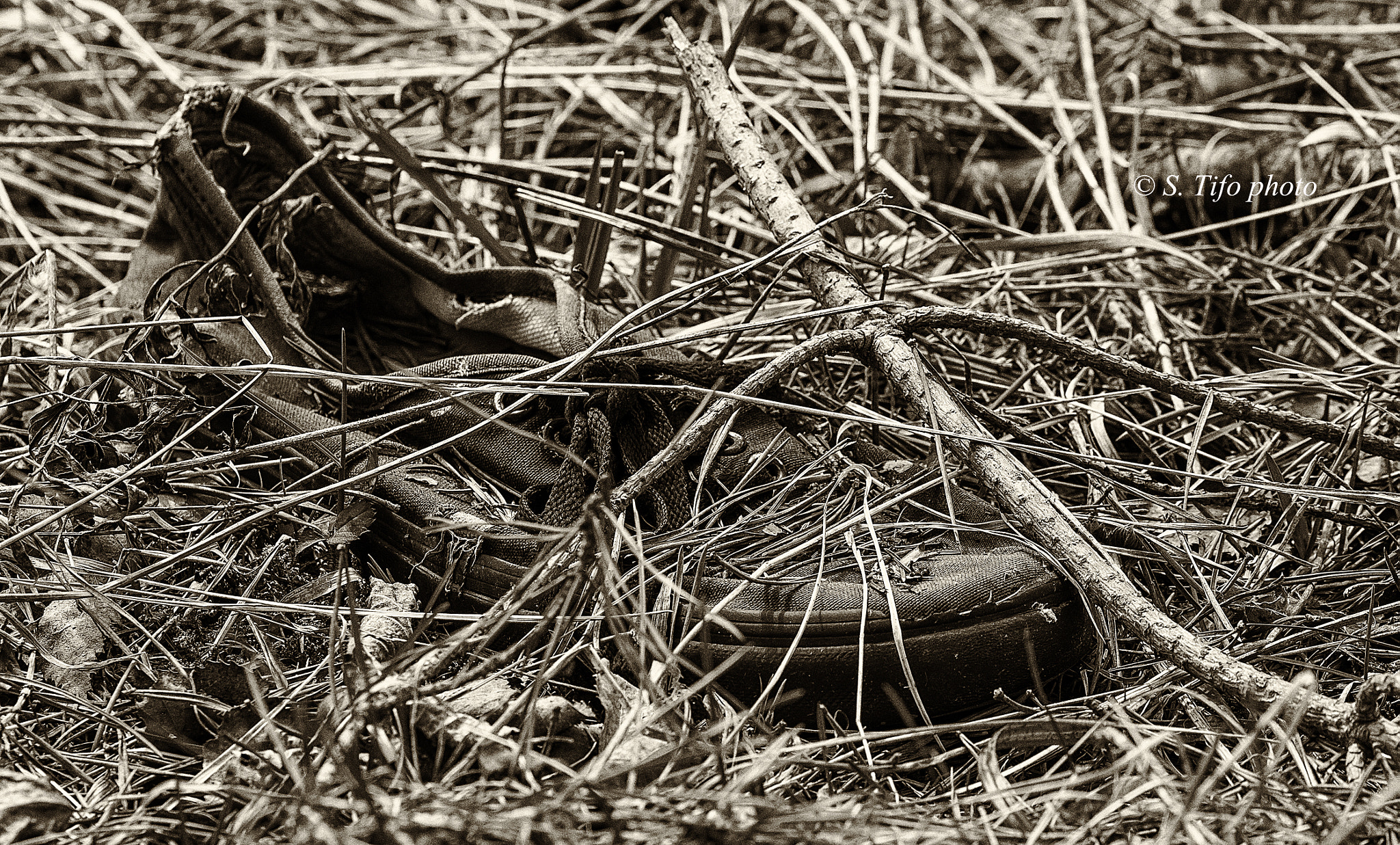 Sigma 105mm F2.8 EX DG OS HSM sample photo. Vieille galoche .... photography