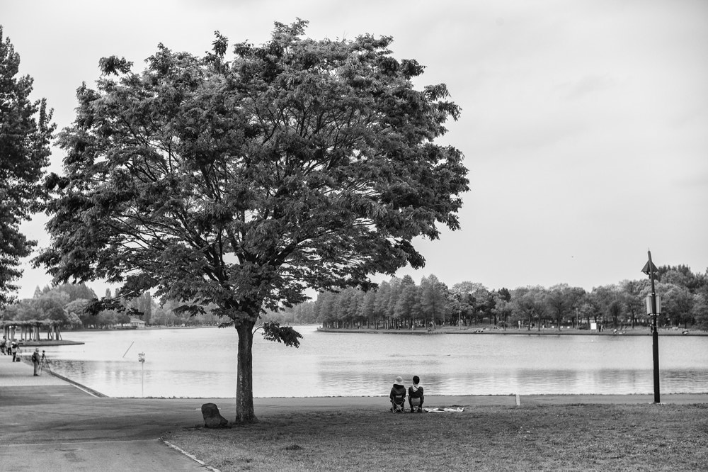 Summilux-M 50mm f/1.4 (II) sample photo. The world of two people photography