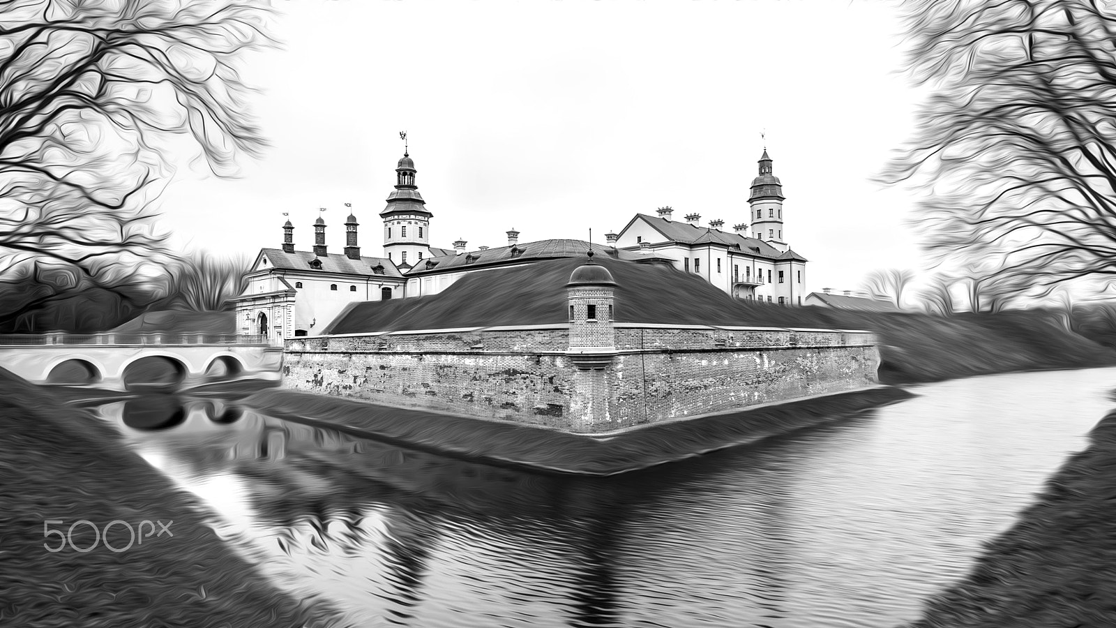 Nikon D4S sample photo. Замок Несвиж photography