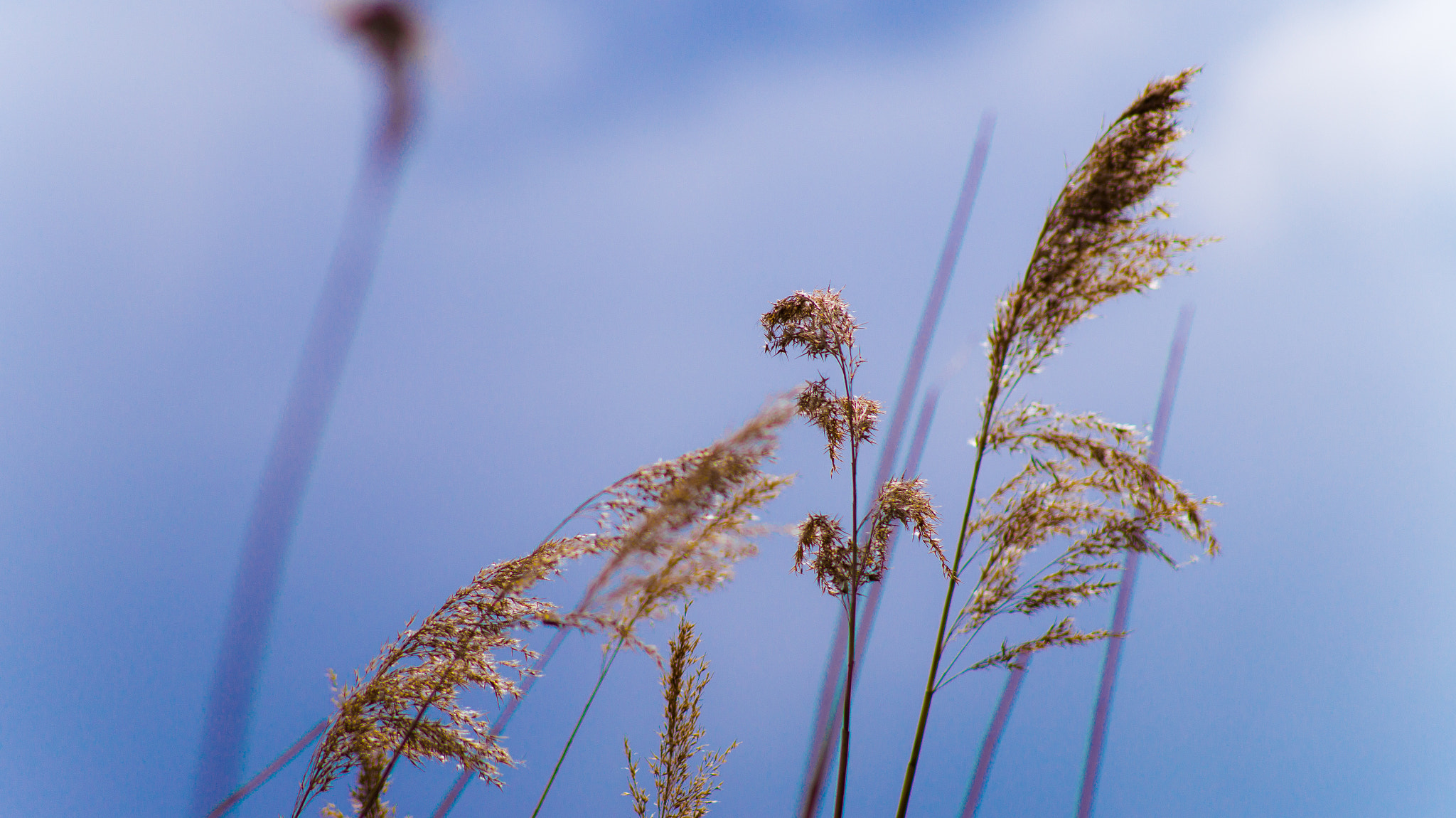 Tamron AF 55-200mm F4-5.6 Di II LD Macro sample photo. ... photography