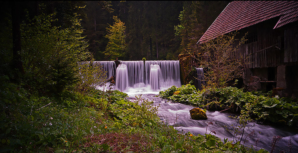 Sony SLT-A68 sample photo. Old sawmill photography