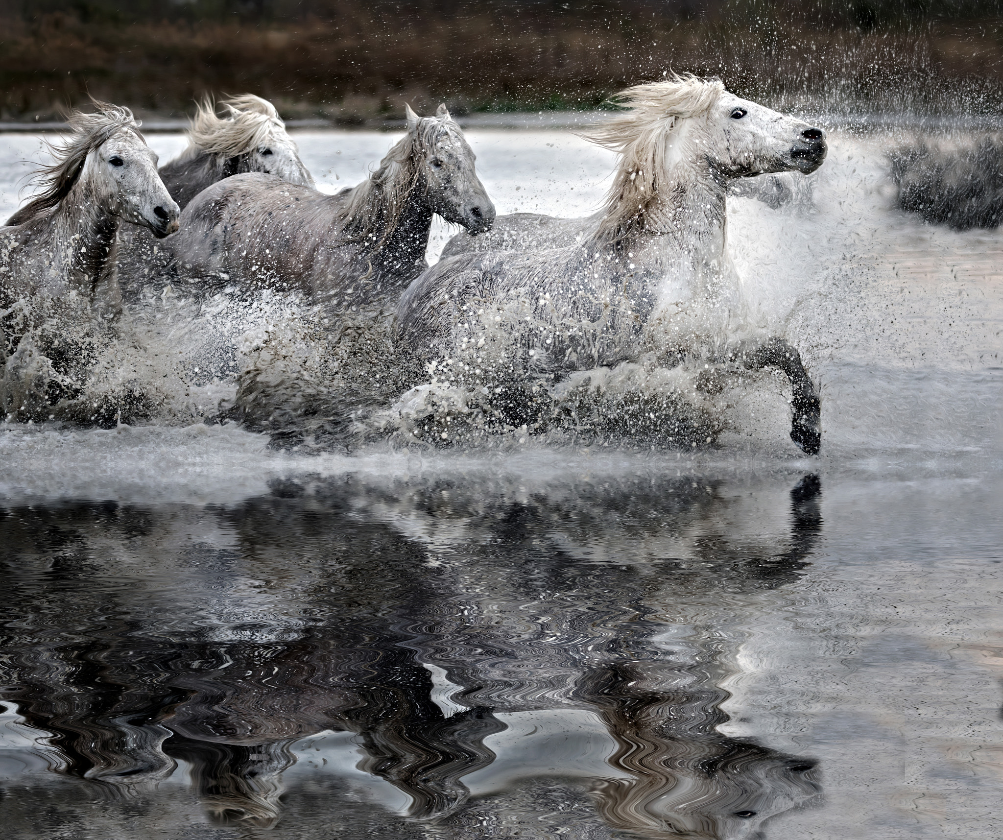 Canon EF 100-400mm F4.5-5.6L IS II USM sample photo. Full force.... photography