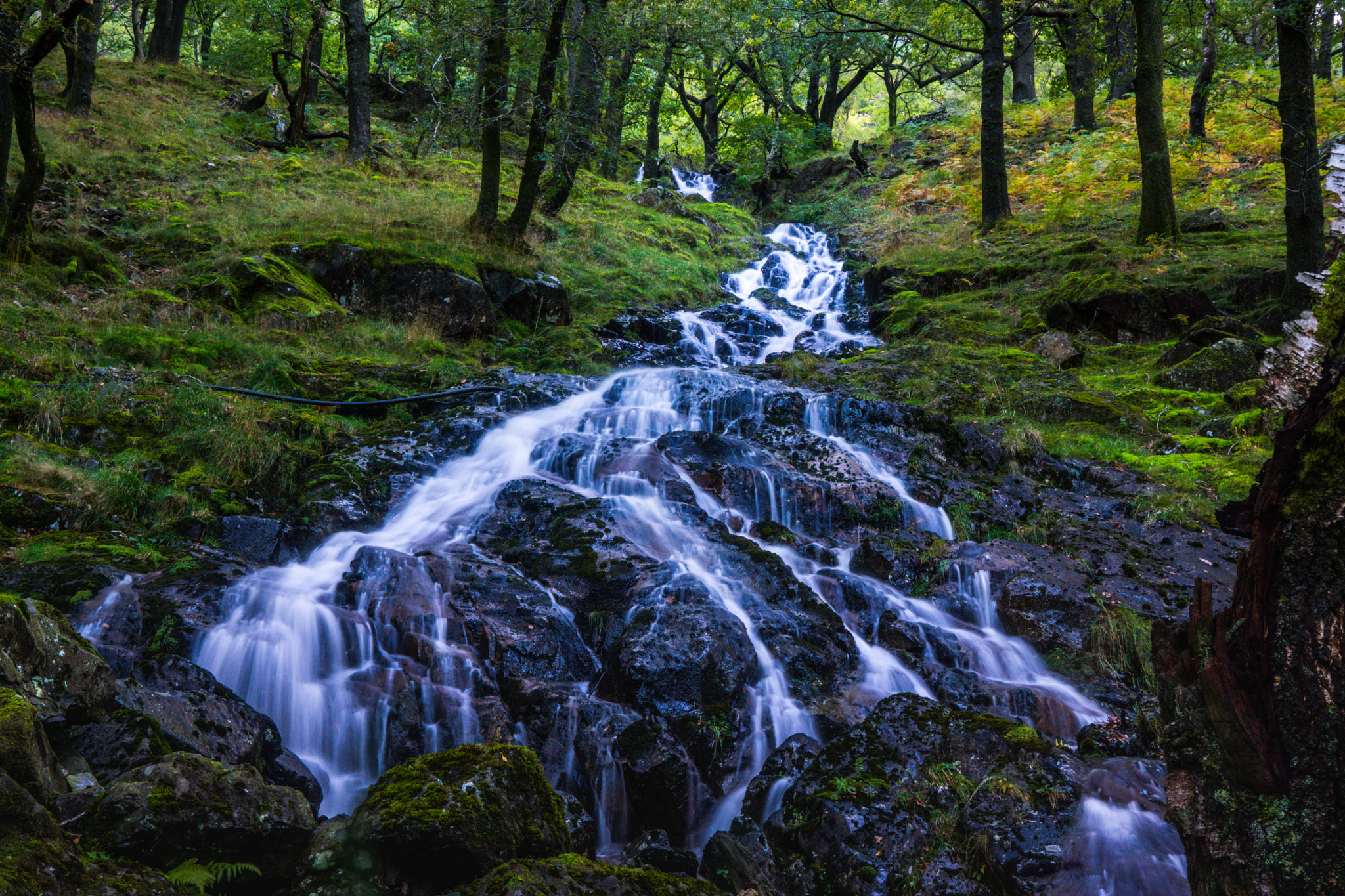 24-70mm F4 ZA OSS sample photo. Lakeland cascade. photography