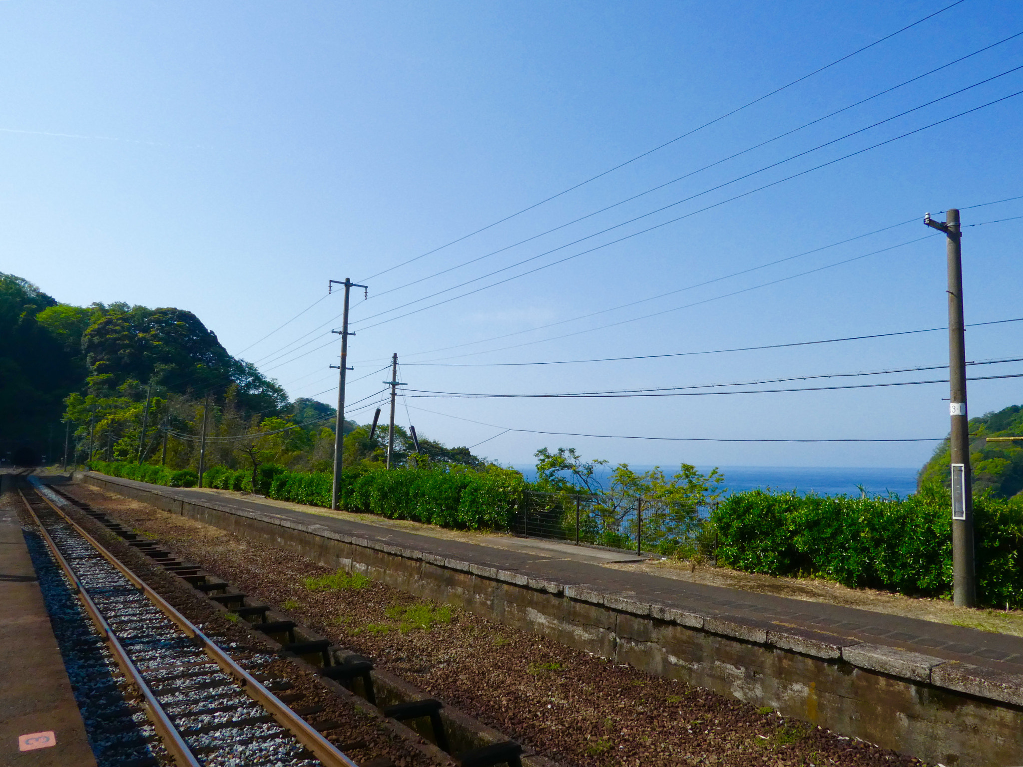 Panasonic DMC-TZ85 sample photo