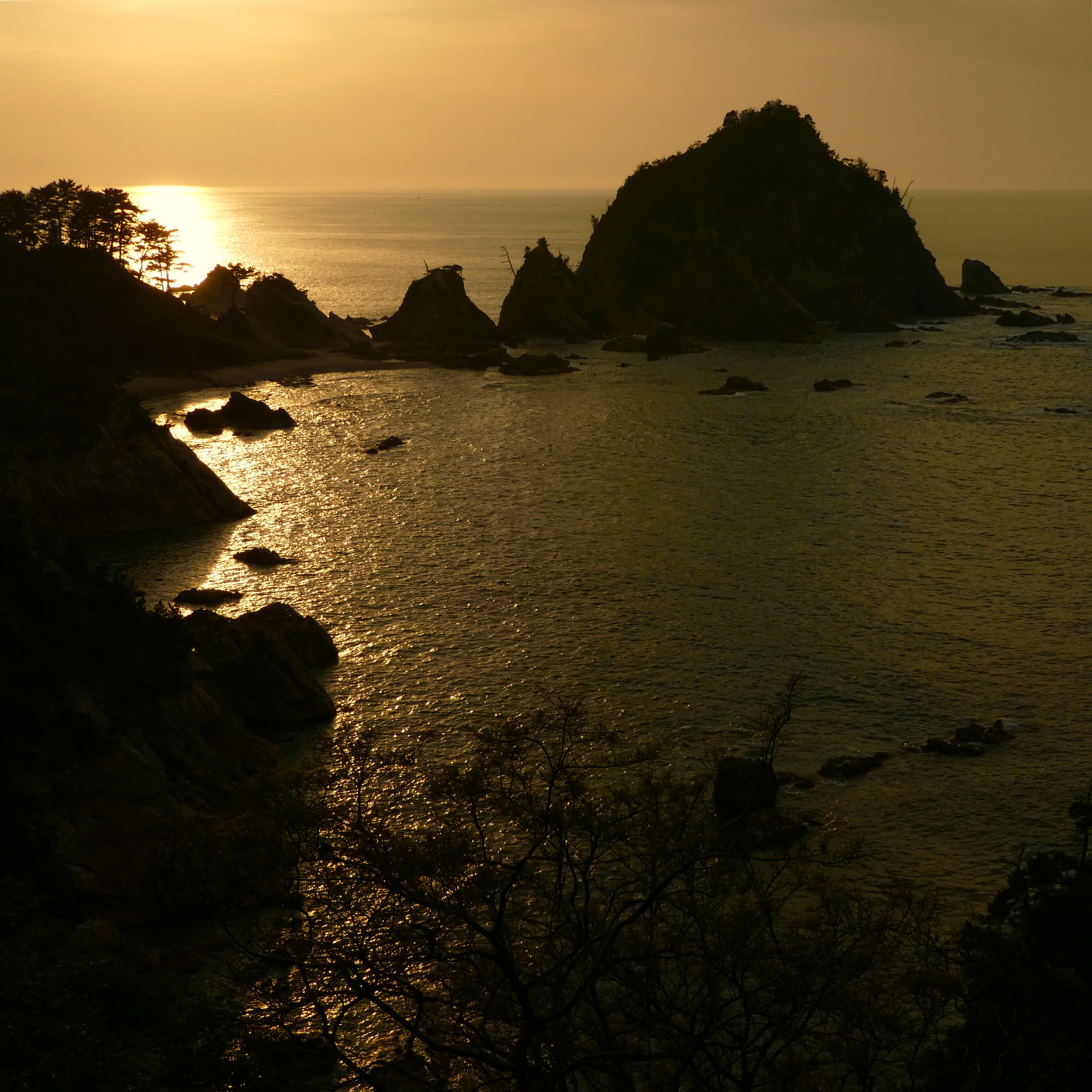 Panasonic DMC-TZ85 sample photo