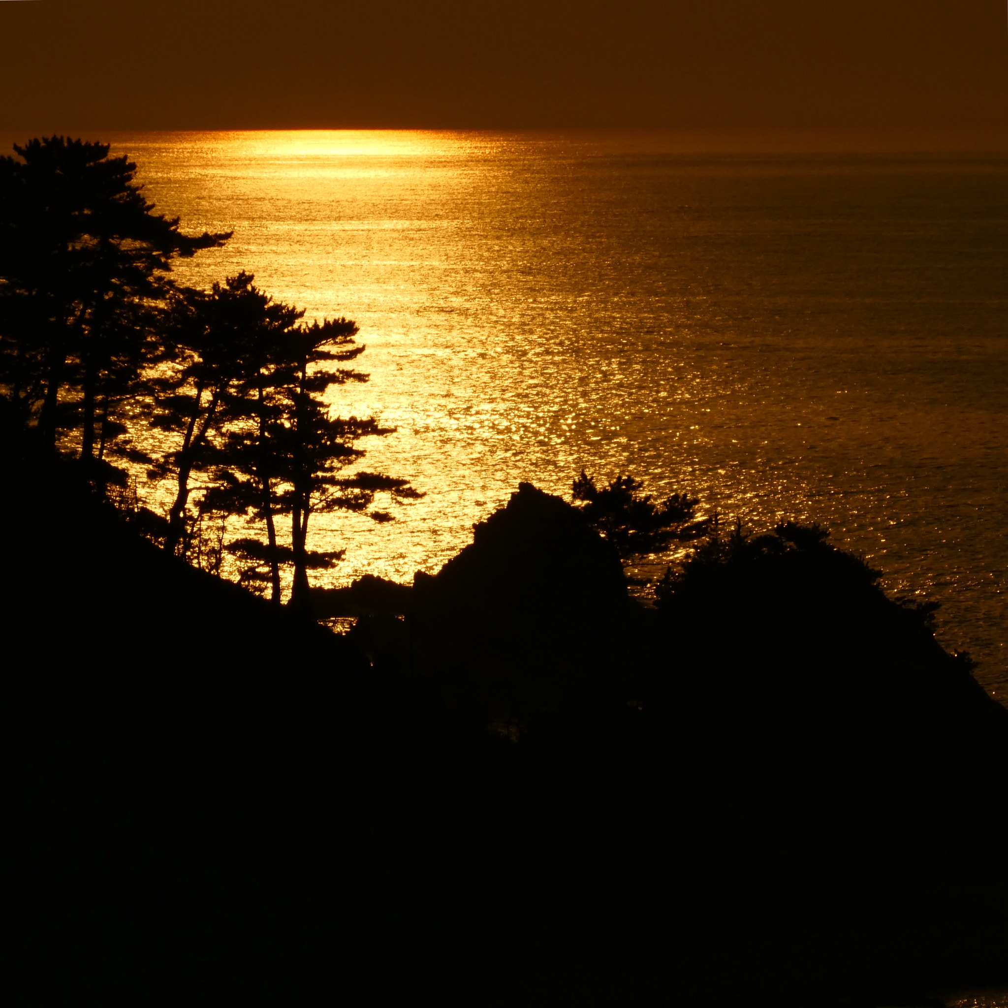 Panasonic DMC-TZ85 sample photo