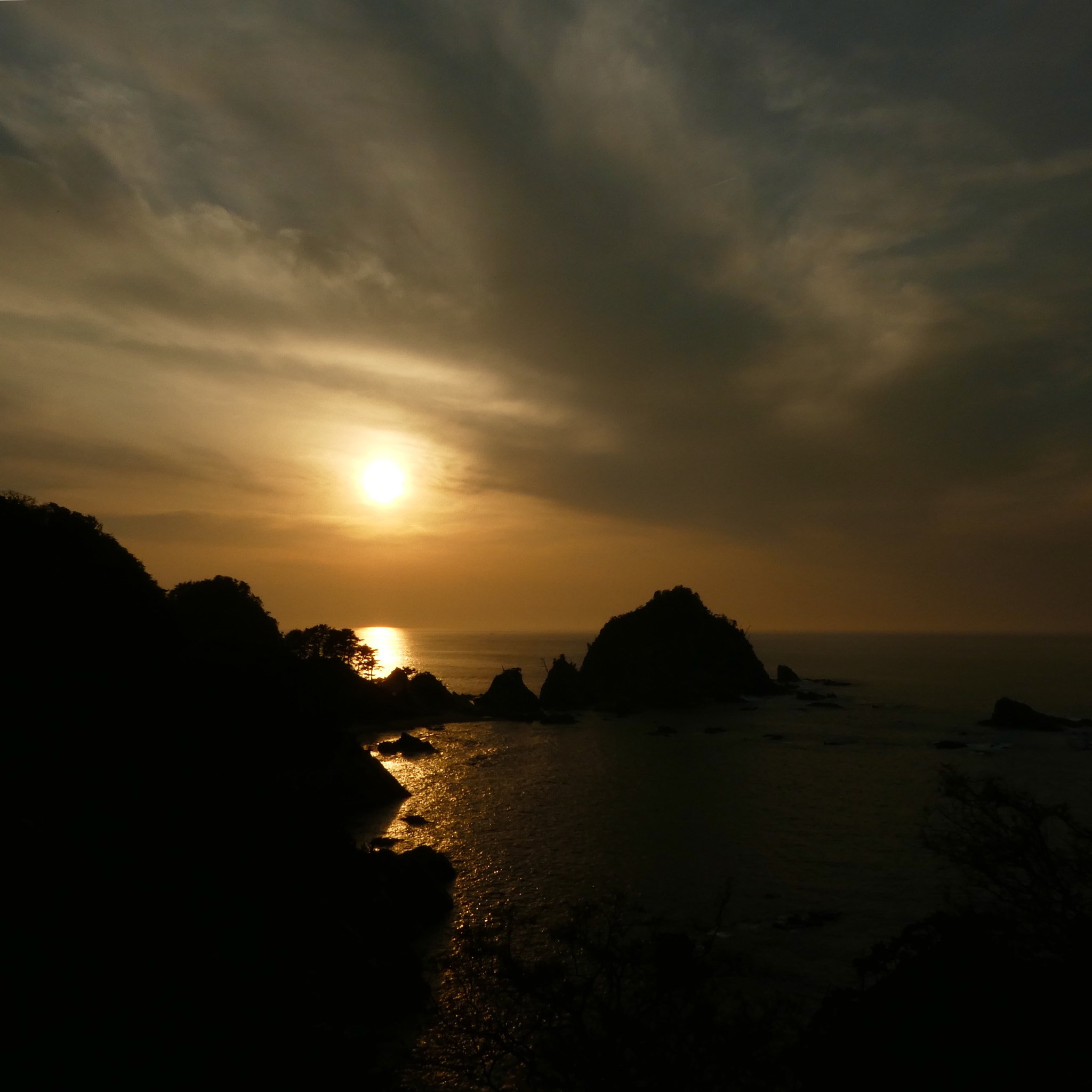 Panasonic DMC-TZ85 sample photo