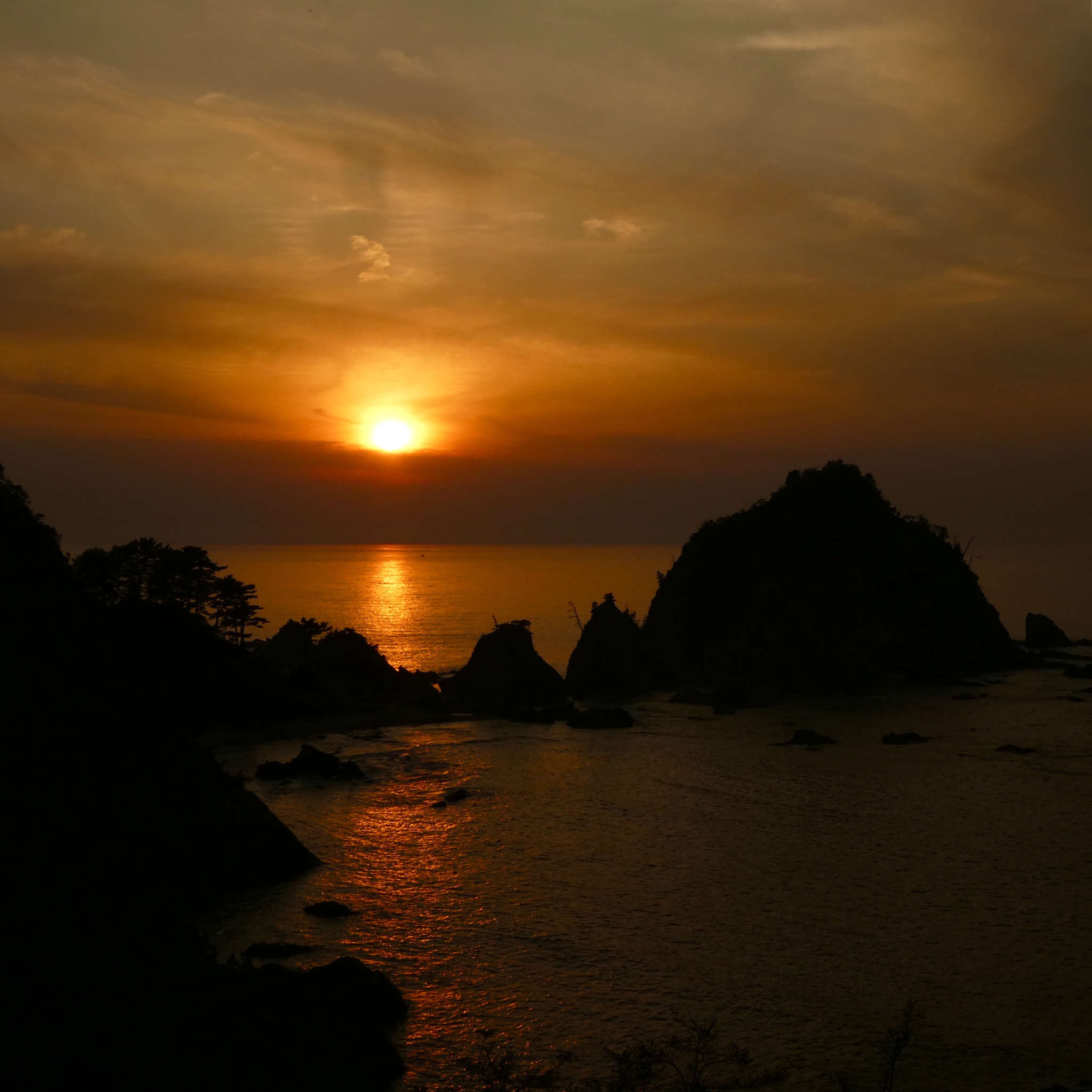 Panasonic DMC-TZ85 sample photo