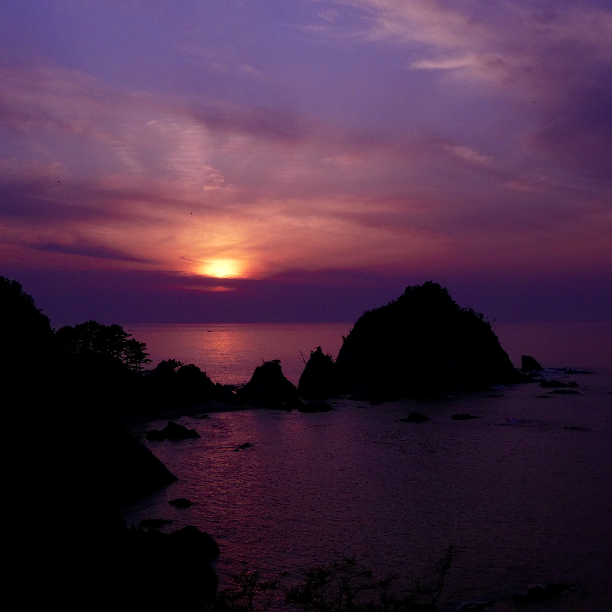 Panasonic DMC-TZ85 sample photo