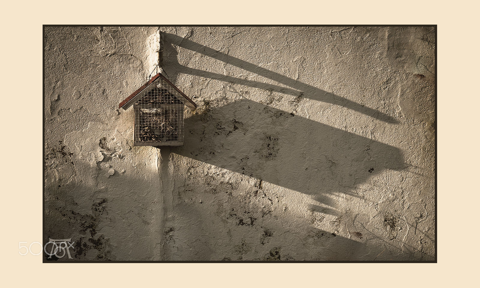 Panasonic Leica DG Nocticron 42.5mm F1.2 ASPH OIS sample photo. Shadow on the wall photography