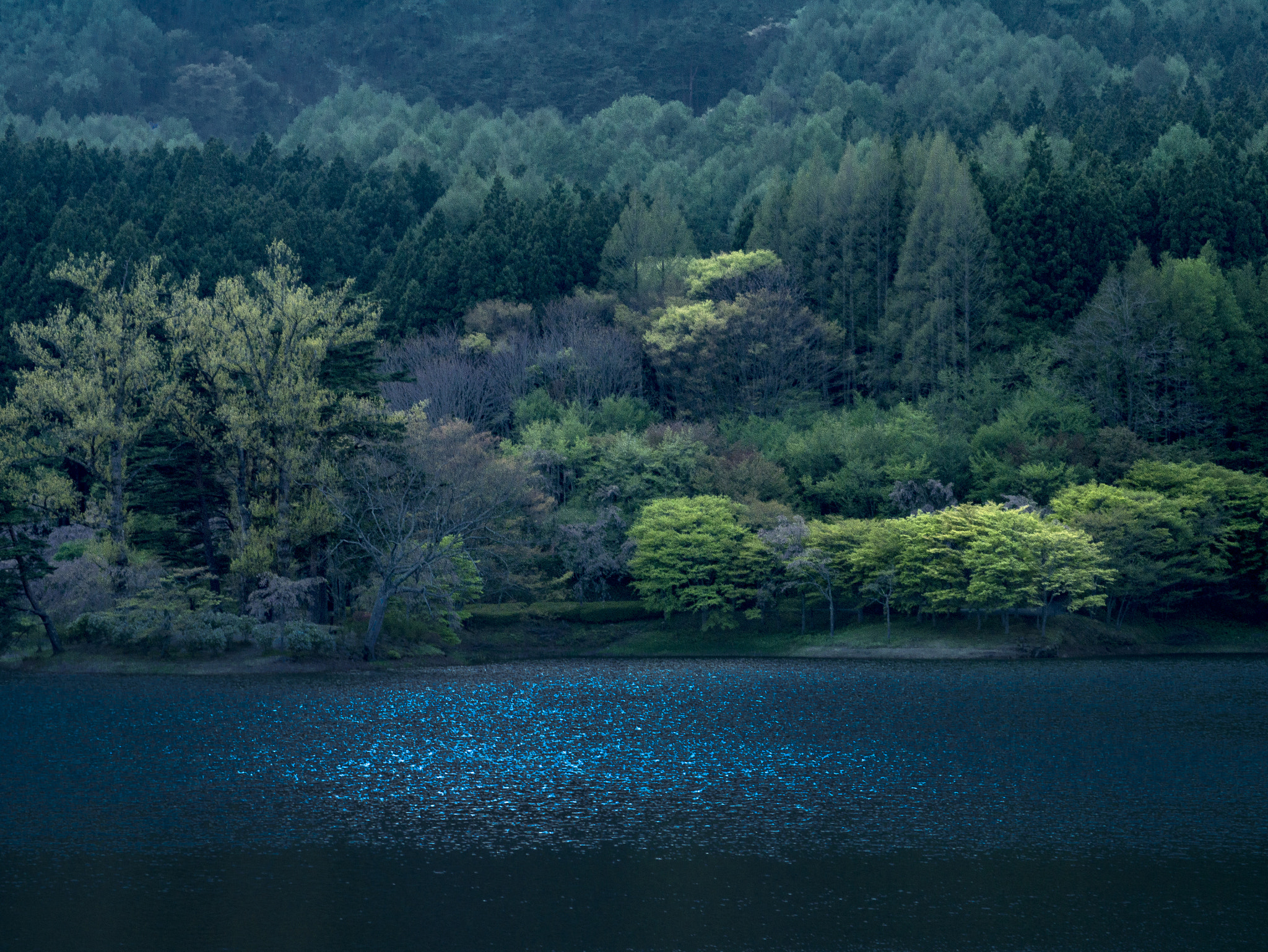 Panasonic Lumix DMC-GX7 sample photo. Afterglow photography