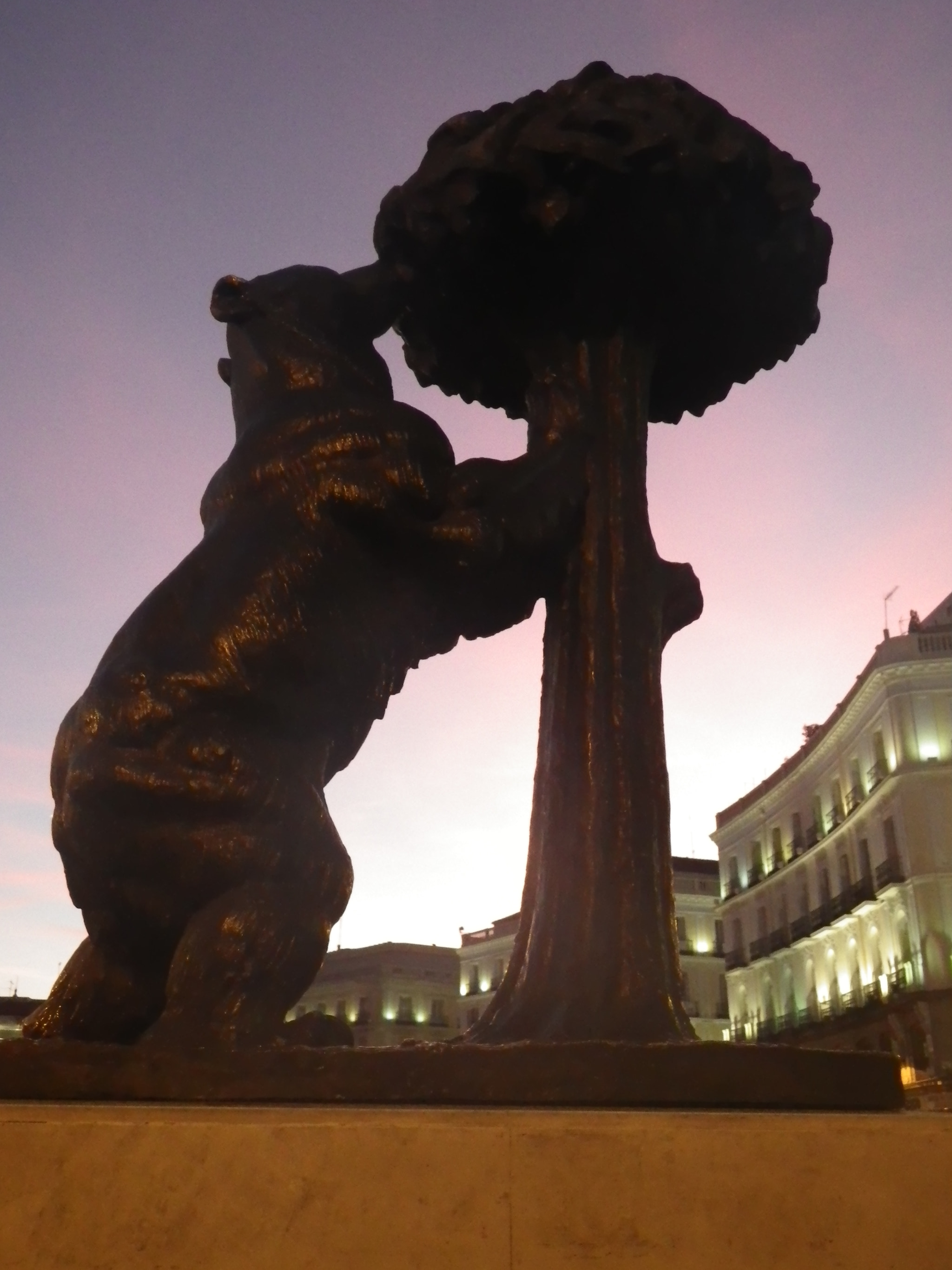 Pentax Optio WG-1 sample photo. El oso e el madroño! nice! photography