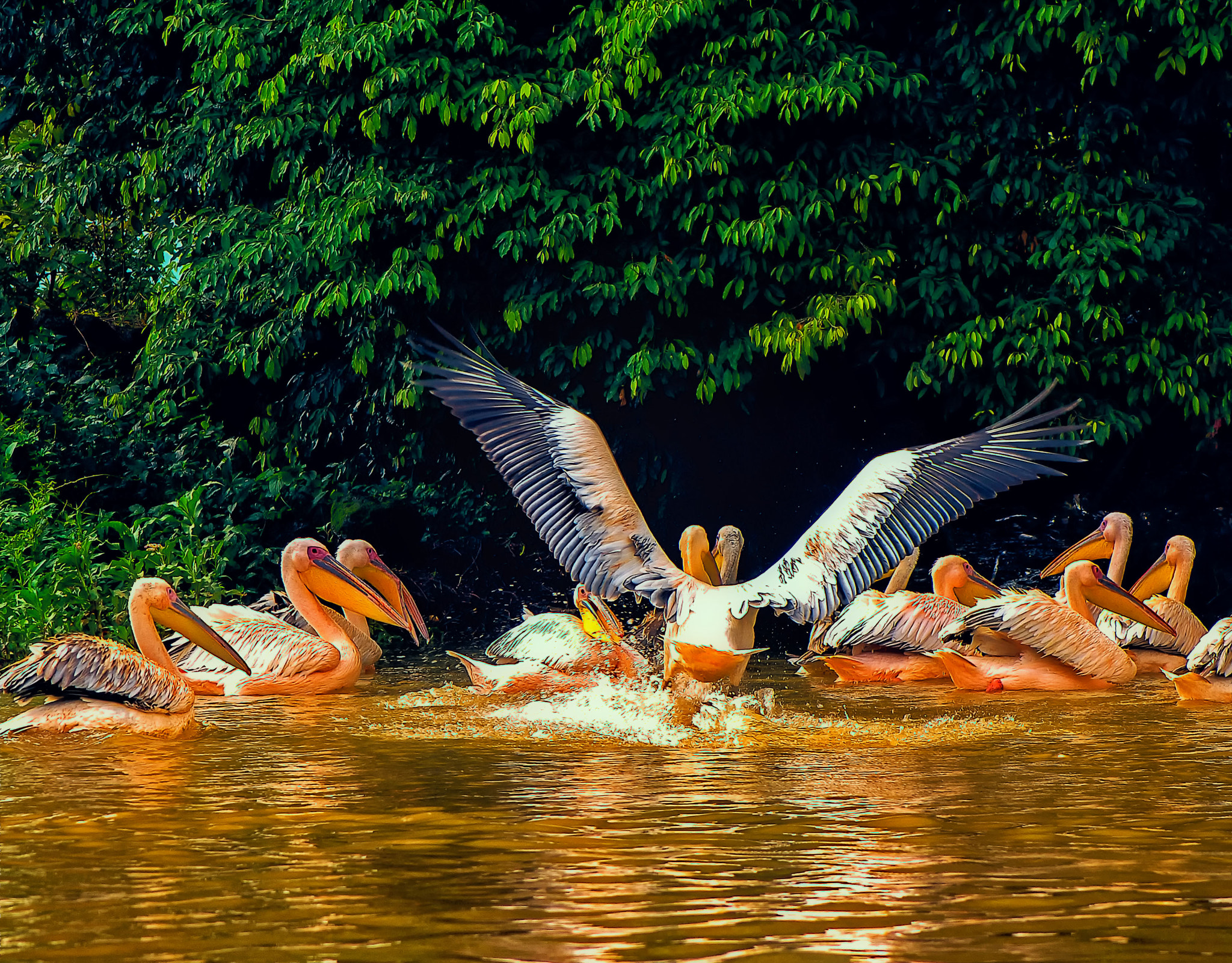 Nikon D2X sample photo. Landing photography