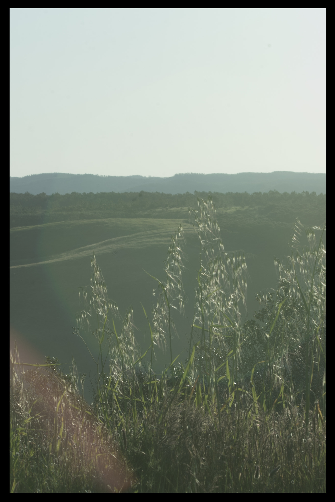 Tamron 18-270mm F3.5-6.3 Di II PZD sample photo. Somewhere in the algarve photography