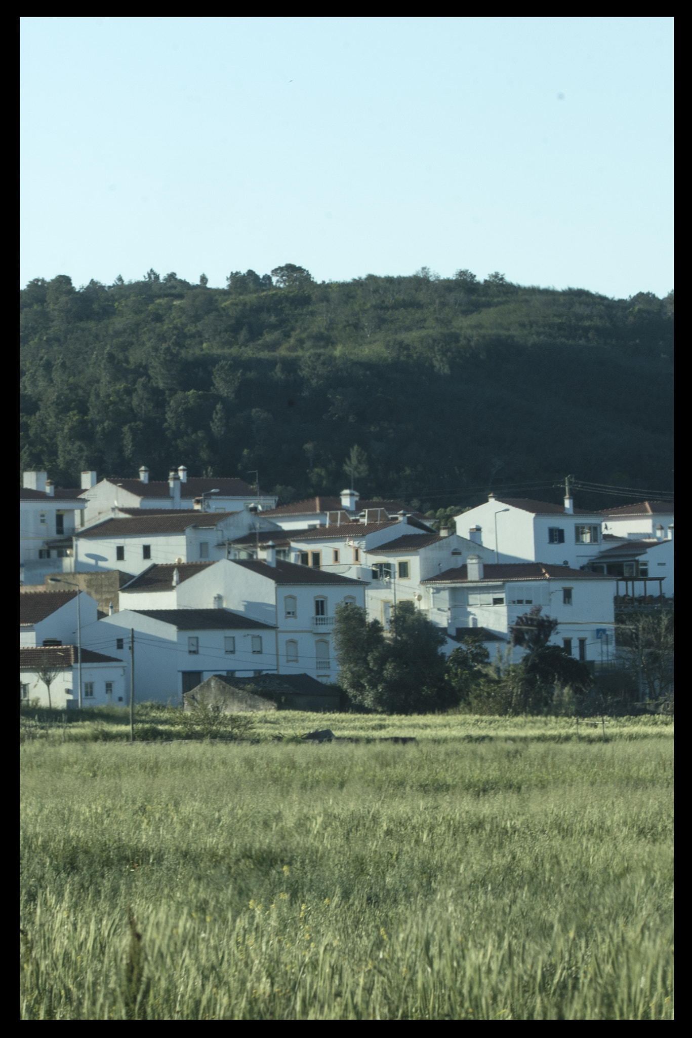 Tamron 18-270mm F3.5-6.3 Di II PZD sample photo. Somewhere in the algarve photography