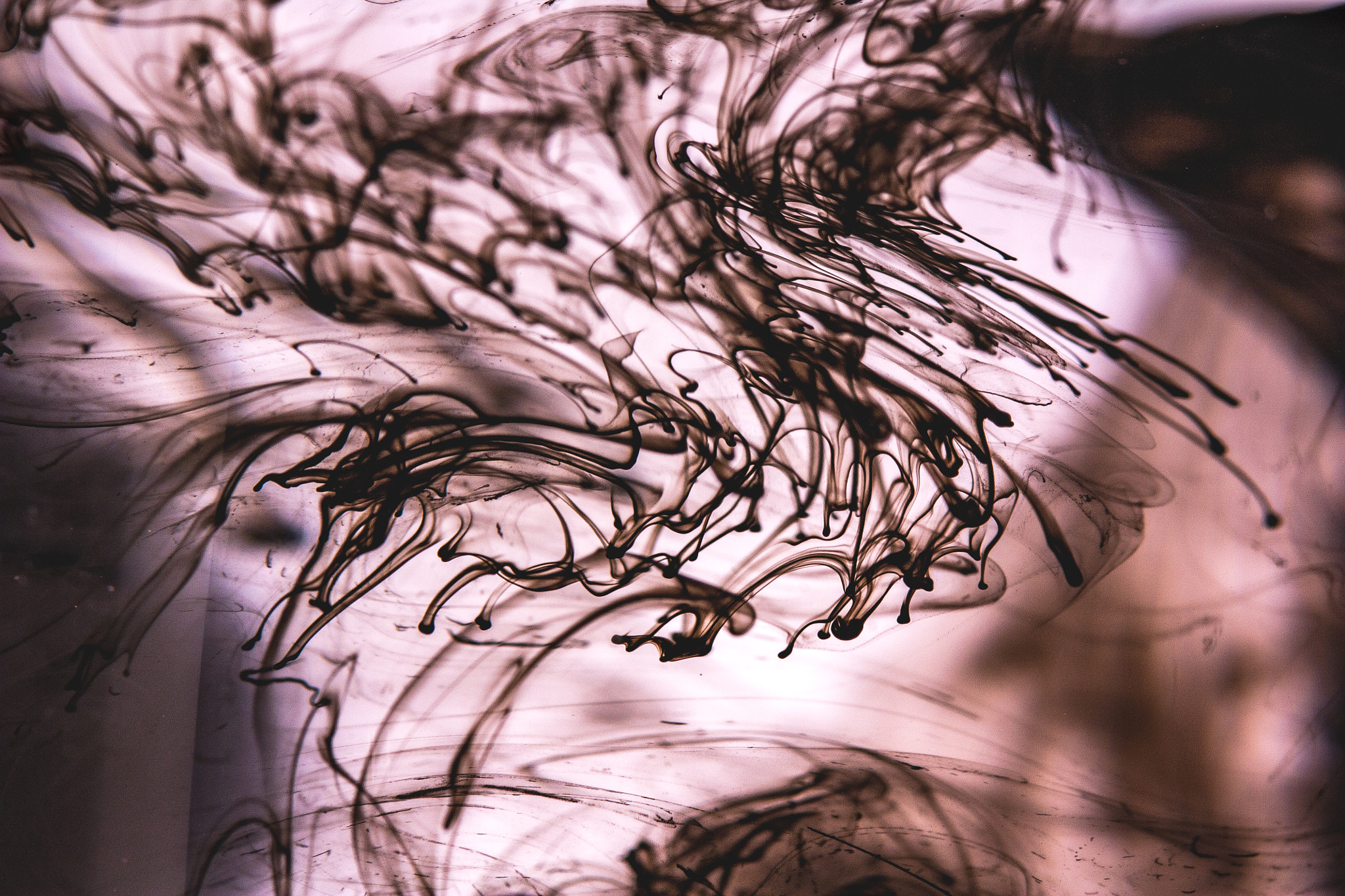 Tamron SP AF 90mm F2.8 Di Macro sample photo. Ink clouds photography