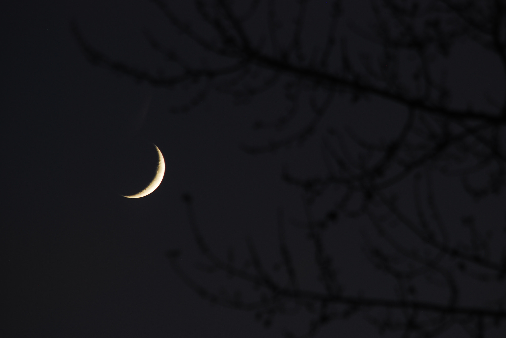 Nikon D80 sample photo. Faces of the moon... photography