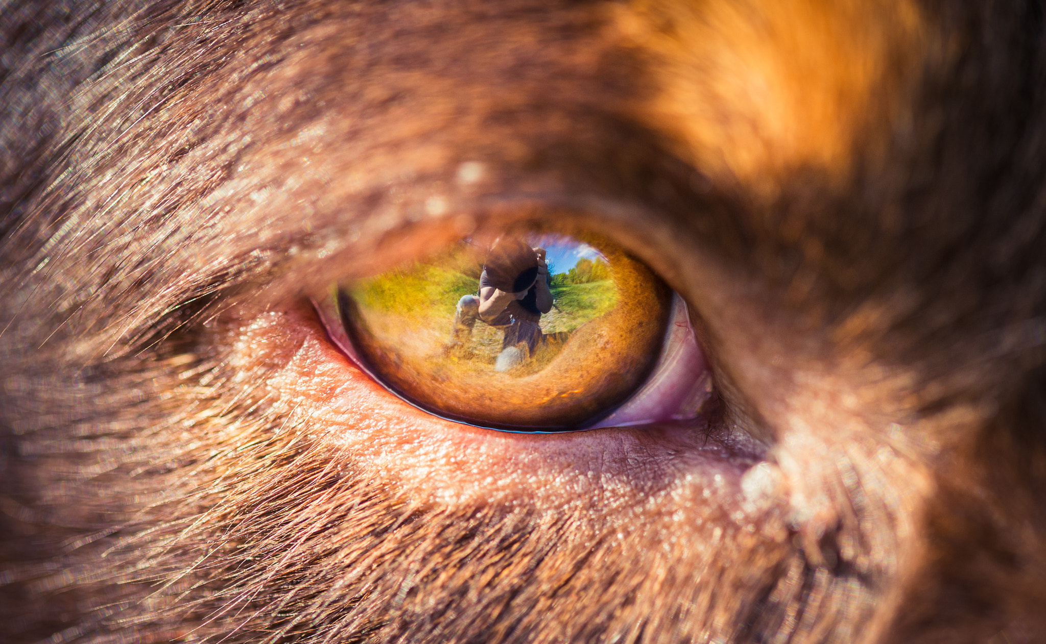 Sigma 105mm F2.8 EX DG OS HSM sample photo. Loyalty photography