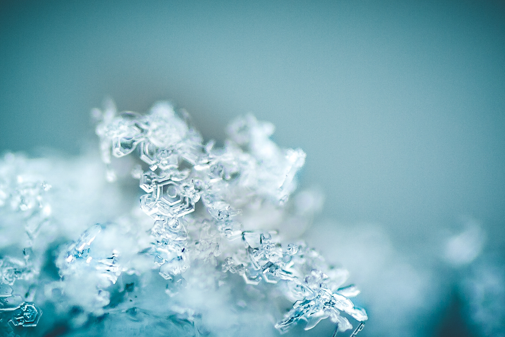 Tamron SP AF 90mm F2.8 Di Macro sample photo. Snow photography
