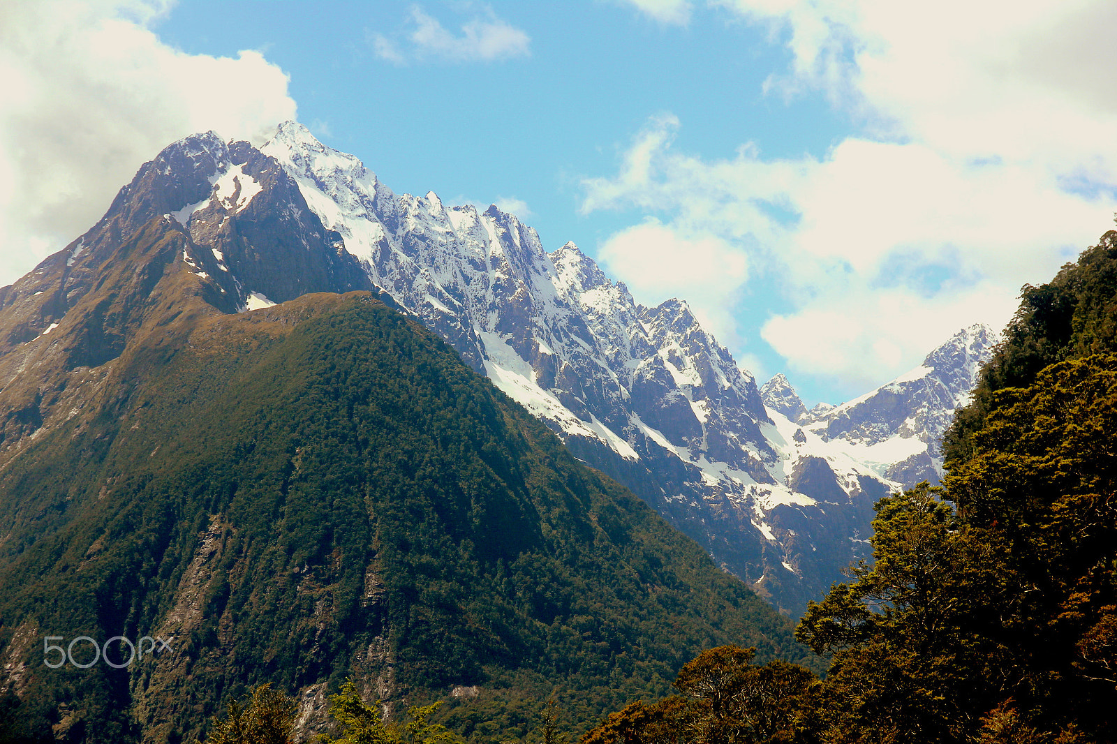 Canon EOS 550D (EOS Rebel T2i / EOS Kiss X4) sample photo. The southern alps photography
