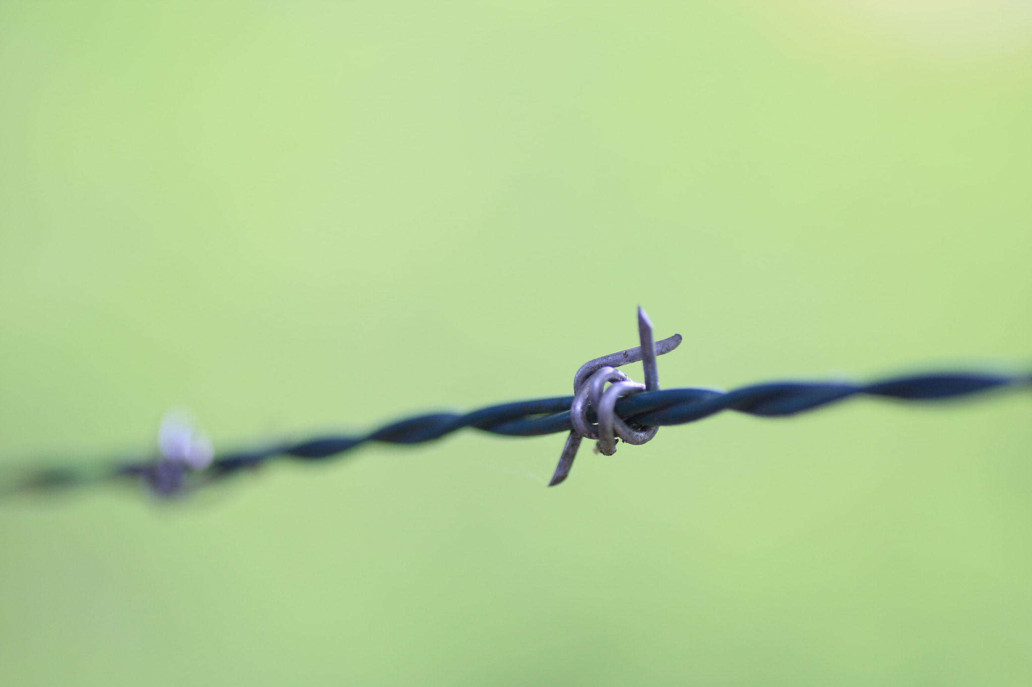 Tamron SP AF 90mm F2.8 Di Macro sample photo. Restrict photography