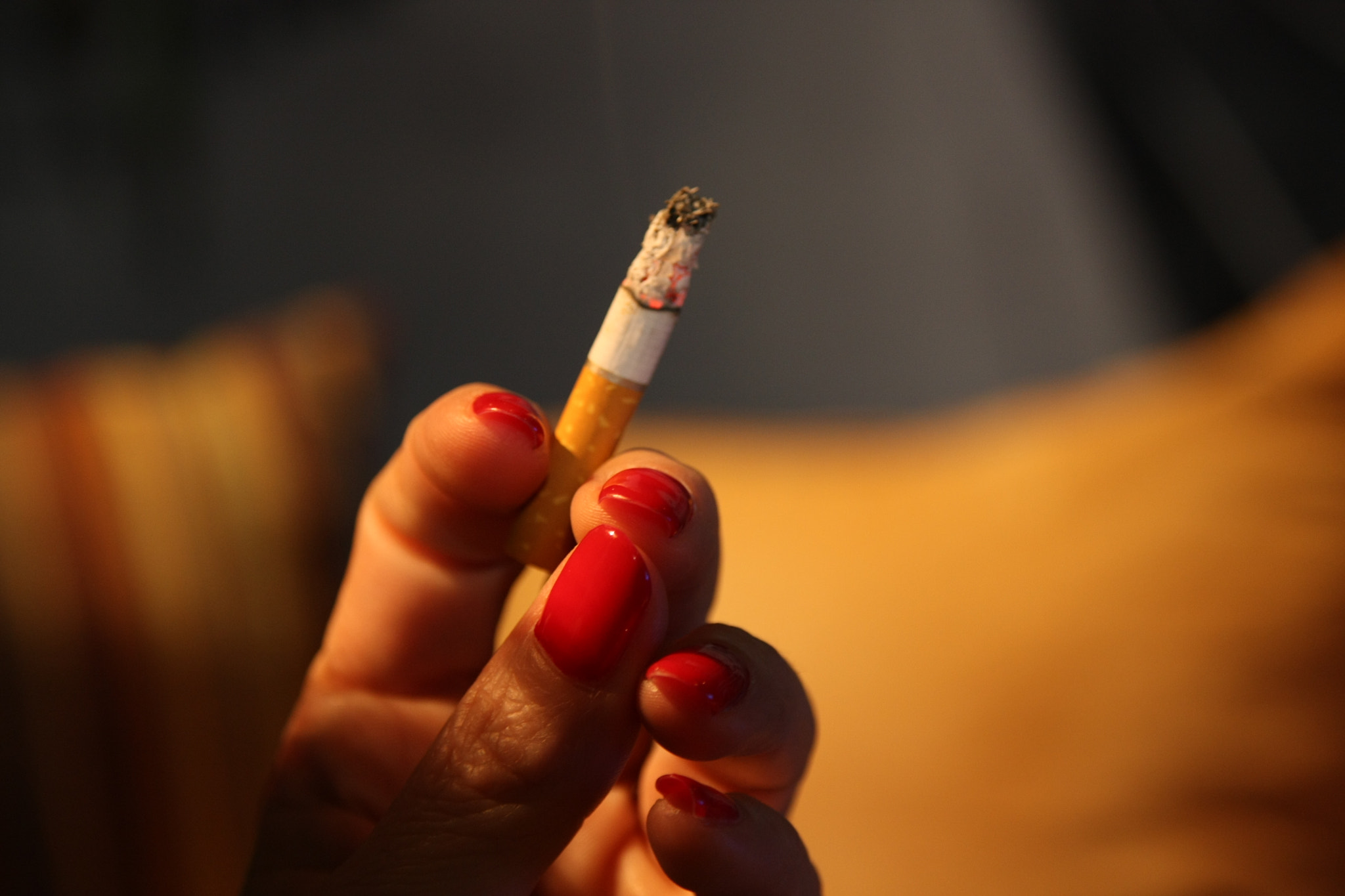 Sigma 17-70mm F2.8-4 DC Macro OS HSM sample photo. Smoking photography