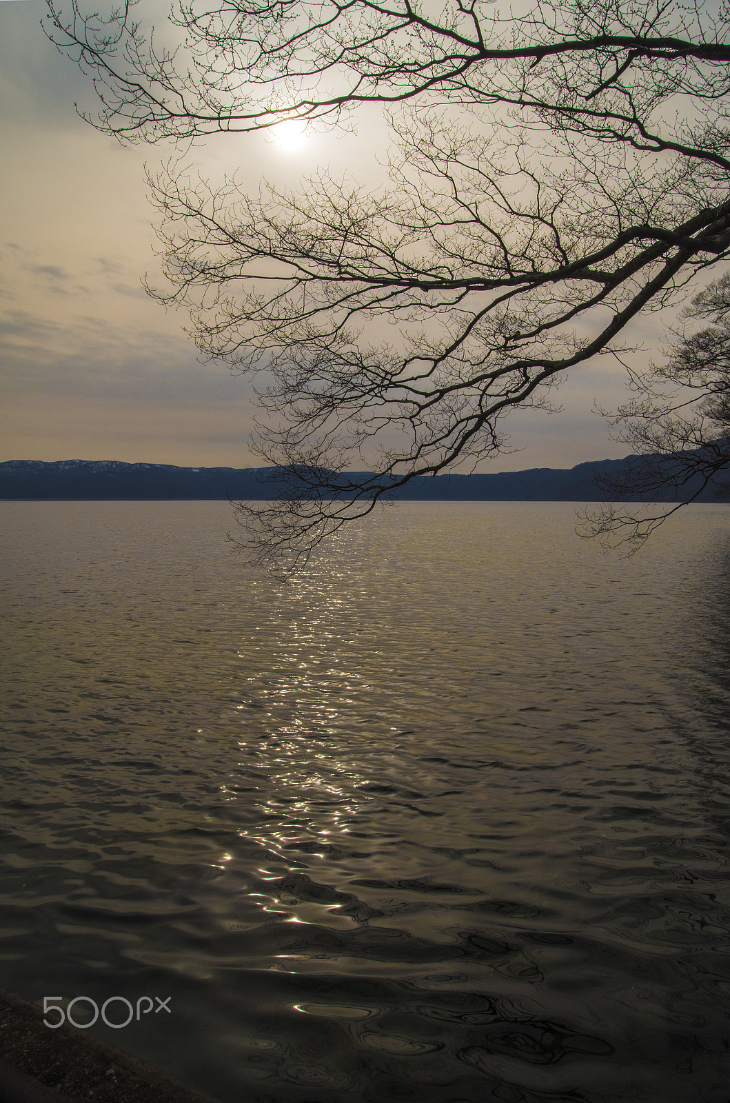 Ricoh GXR A16 sample photo. Lake towada photography