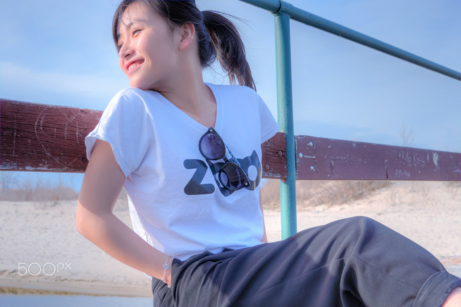 Sony Alpha DSLR-A580 + Tamron SP 24-70mm F2.8 Di VC USD sample photo. Zjy-2 photography