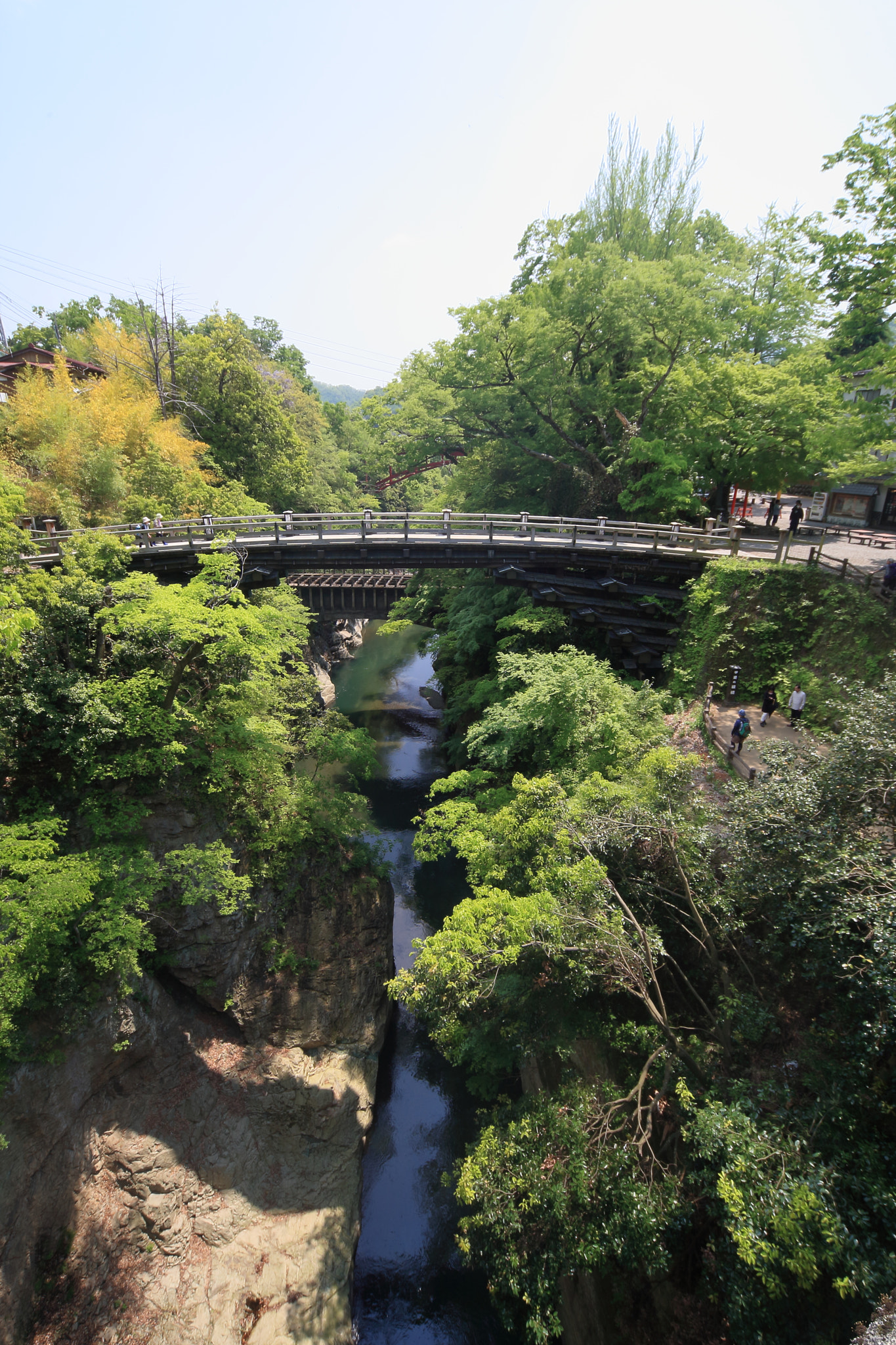 Canon EOS-1D Mark III sample photo. Saruhashi, the bridge. photography