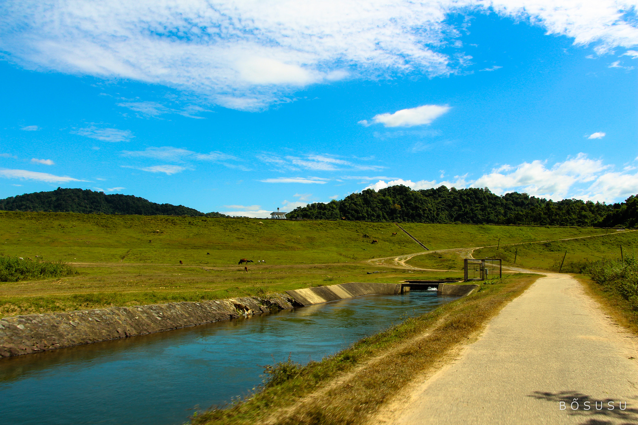 Canon EOS 700D (EOS Rebel T5i / EOS Kiss X7i) sample photo. Dateh countryside, lâm Đồng, việt nam photography