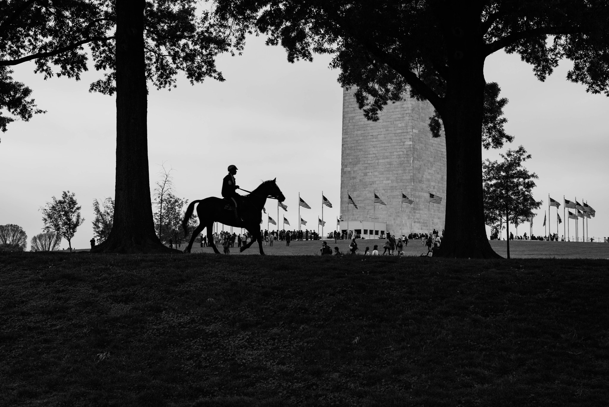 Summicron 1:2/50 Leitz sample photo. On patrol photography