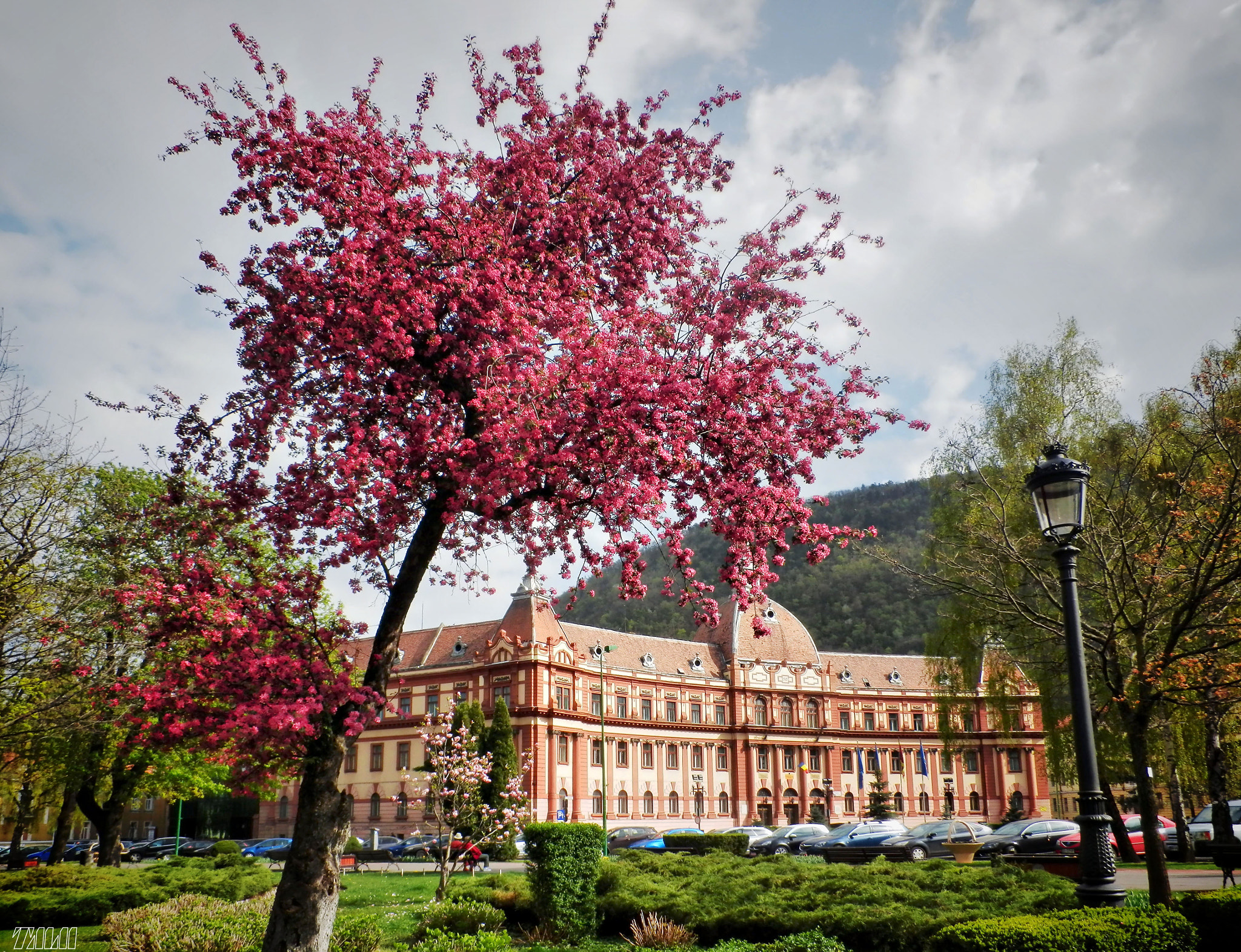 Olympus SH-21 sample photo. Brasov prefecture photography