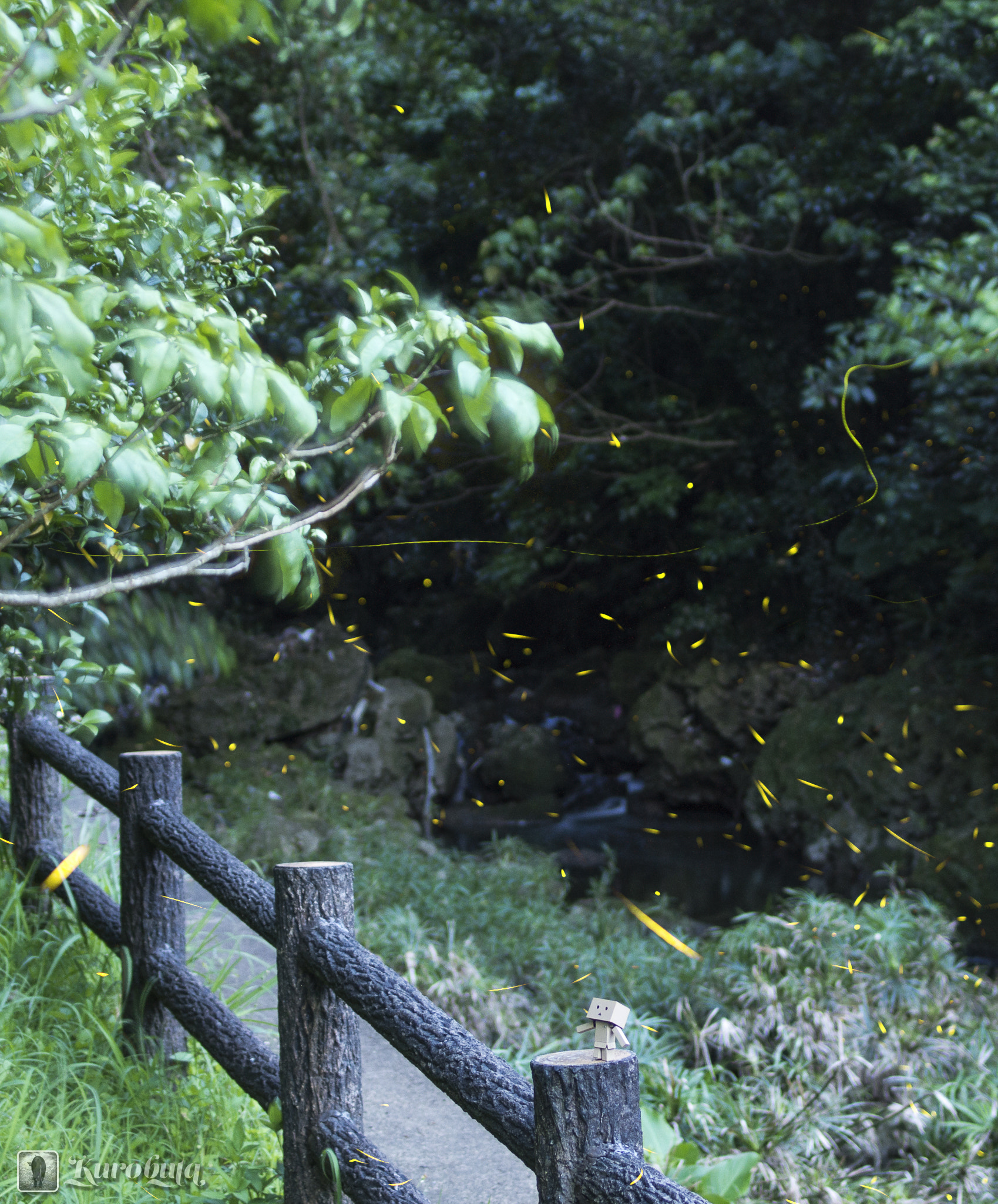 Pentax smc FA 31mm F1.8 AL Limited sample photo. Firefly appreciation photography