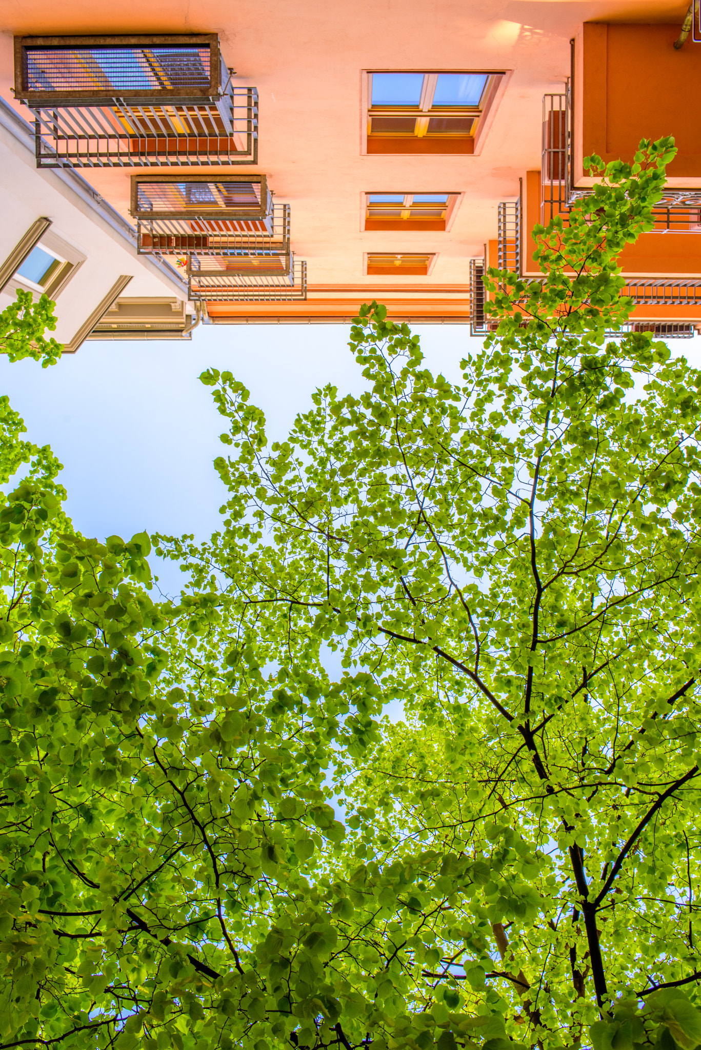 Nikon D750 + AF-S Nikkor 35mm f/1.8G sample photo. Sunday at rosenthaler platz, berlin photography