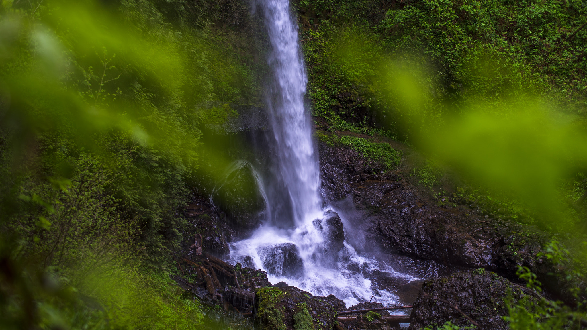 Sony a7S + ZEISS Planar T* 50mm F1.4 sample photo. Silver falls water fall 3 photography