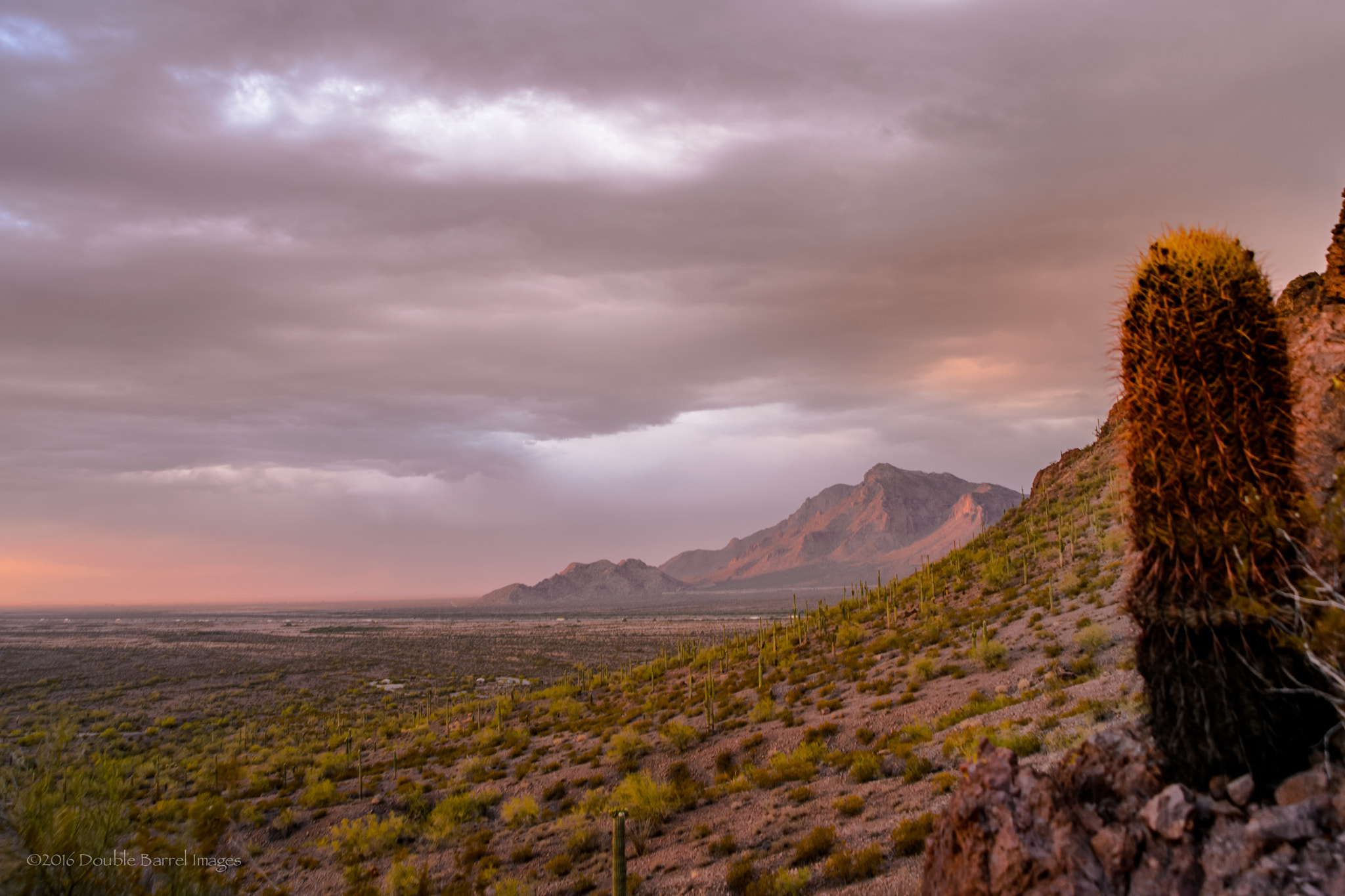 Nikon D4 sample photo. Picacho peak state park sunset photography