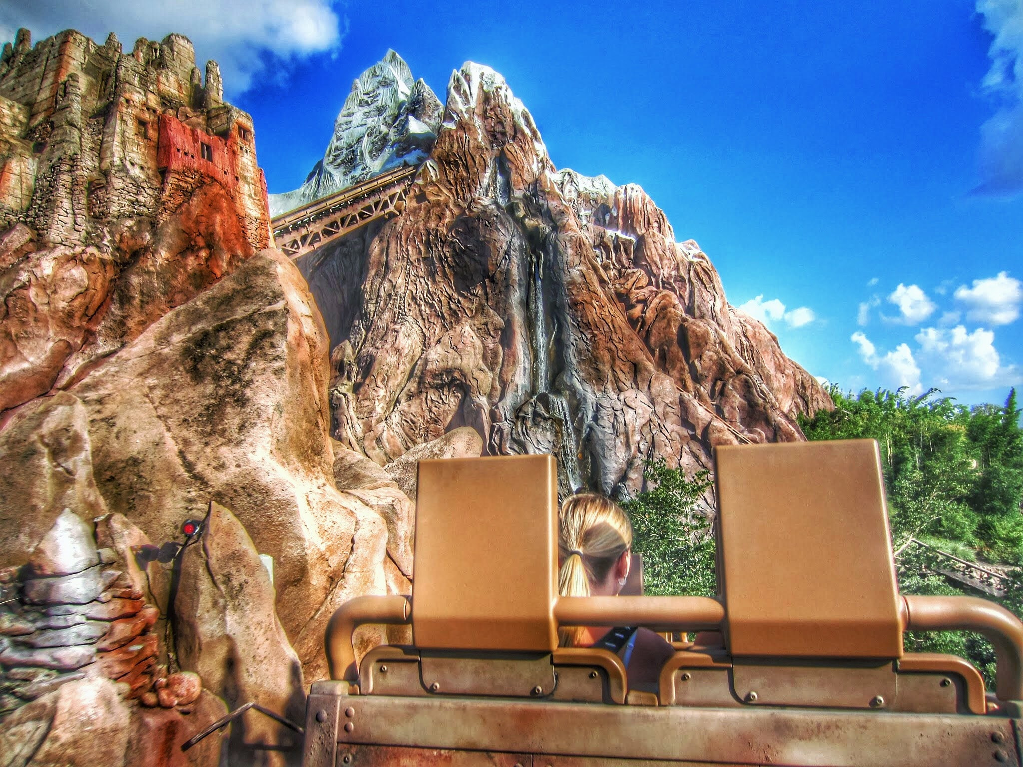 Canon PowerShot ELPH 300 HS (IXUS 220 HS / IXY 410F) sample photo. Expedition everest at disney's animal kingdom photography