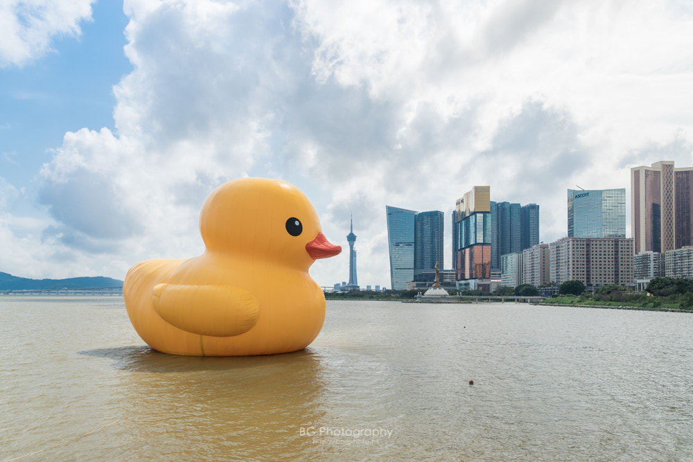 Sony a7 II + Canon EF 85mm F1.2L II USM sample photo. Rubber duck project 2016 - macau photography