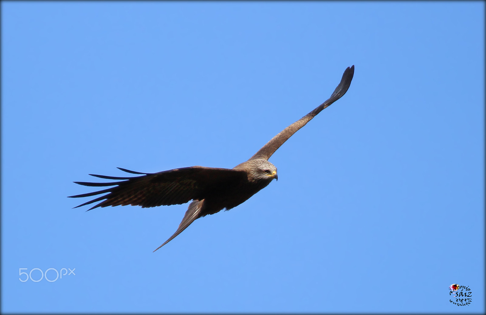 Canon EF 100-400mm F4.5-5.6L IS USM sample photo. Milano photography