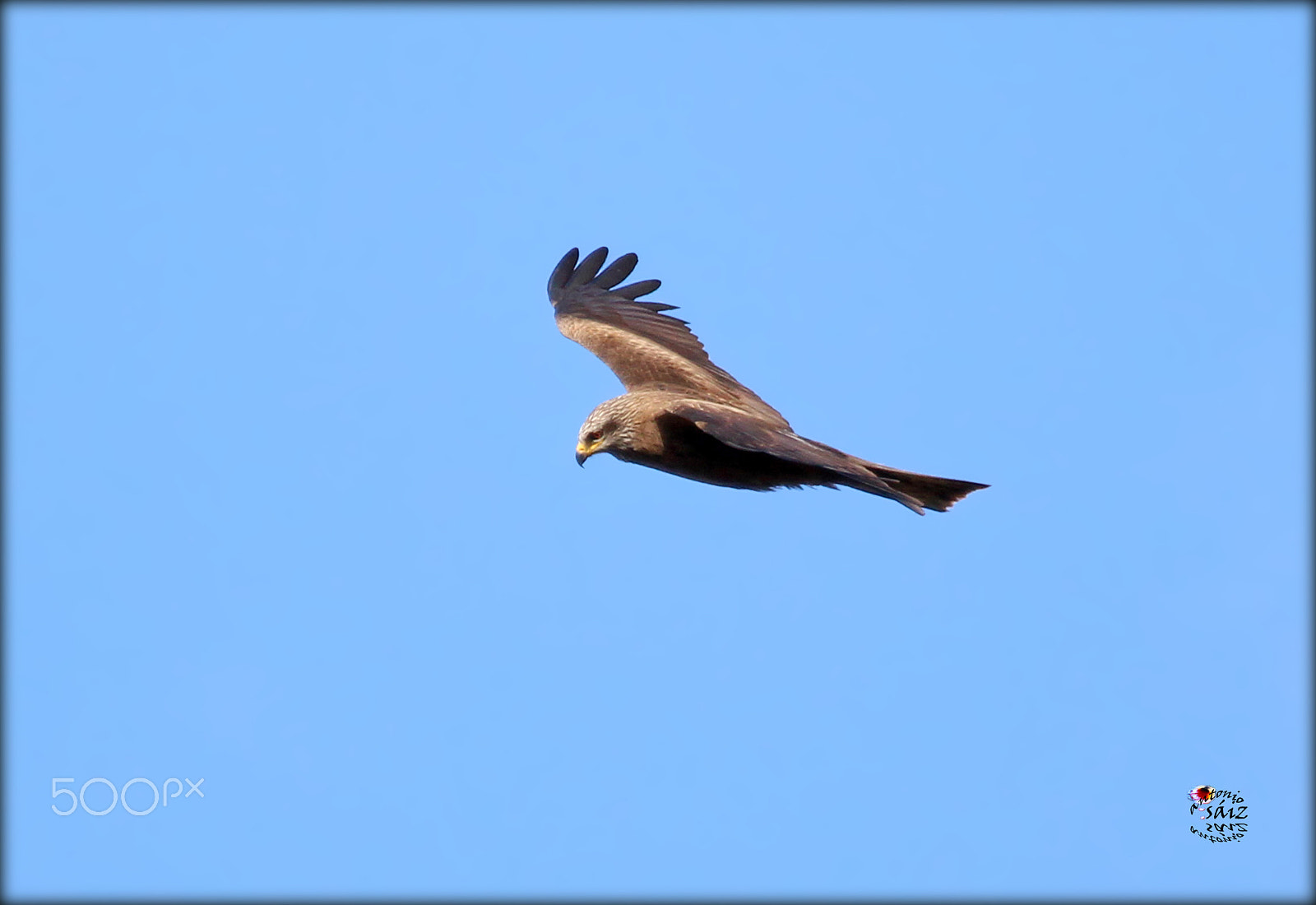 Canon EF 100-400mm F4.5-5.6L IS USM sample photo. Milano photography